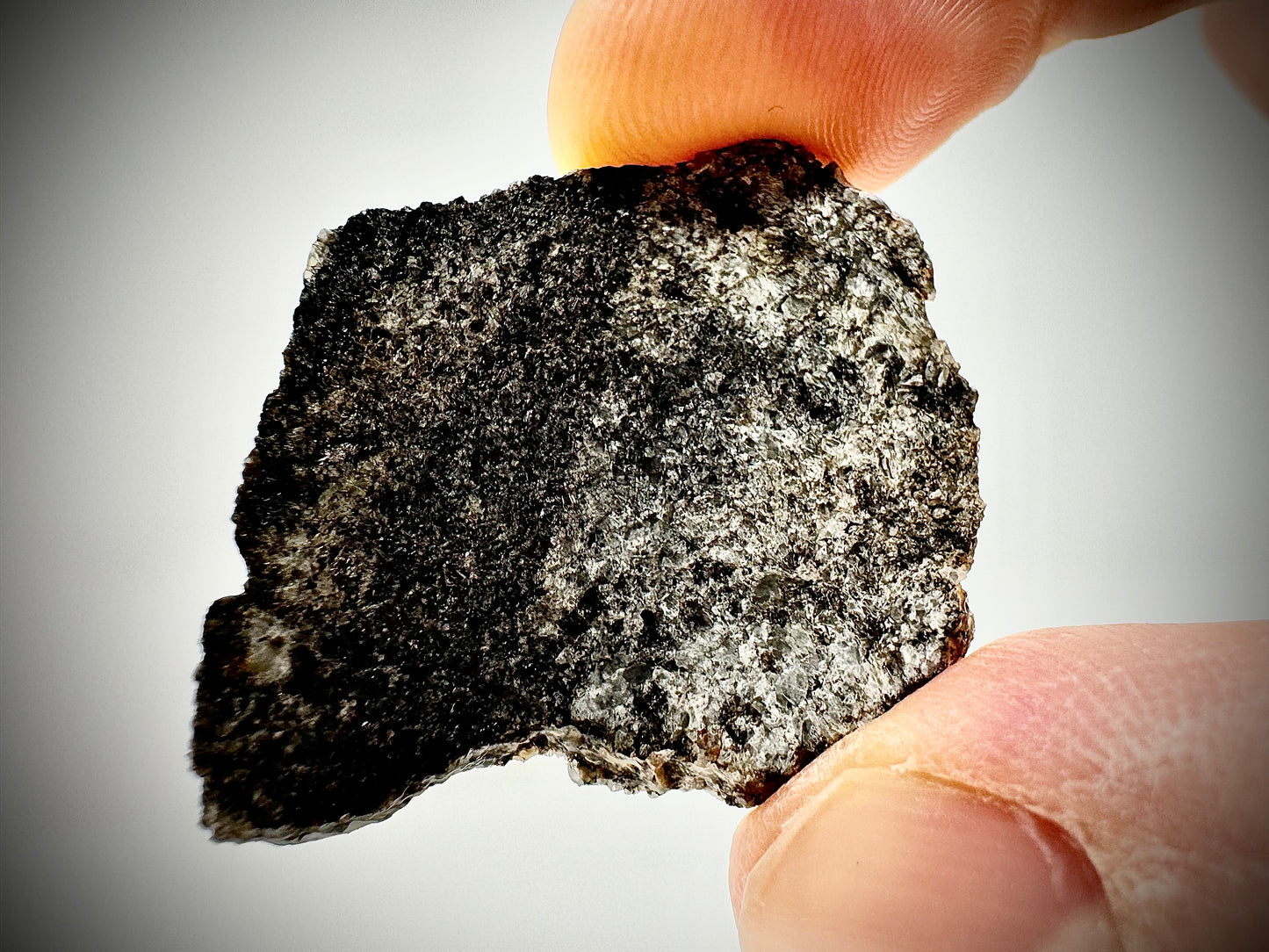 Ksar Ghilane 022 Ungrouped Achondrite - 3.8g Full Slice - Black and White Matrix - A Meteorite That’s About To Make History!