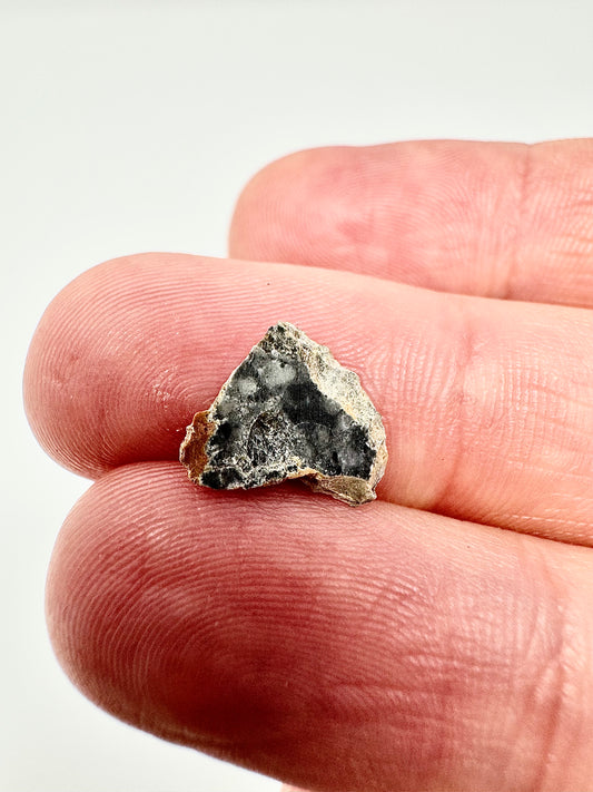 Bechar 003 Lunar Feldspathic Breccia- 0.2g - A Piece Of Our Moon!