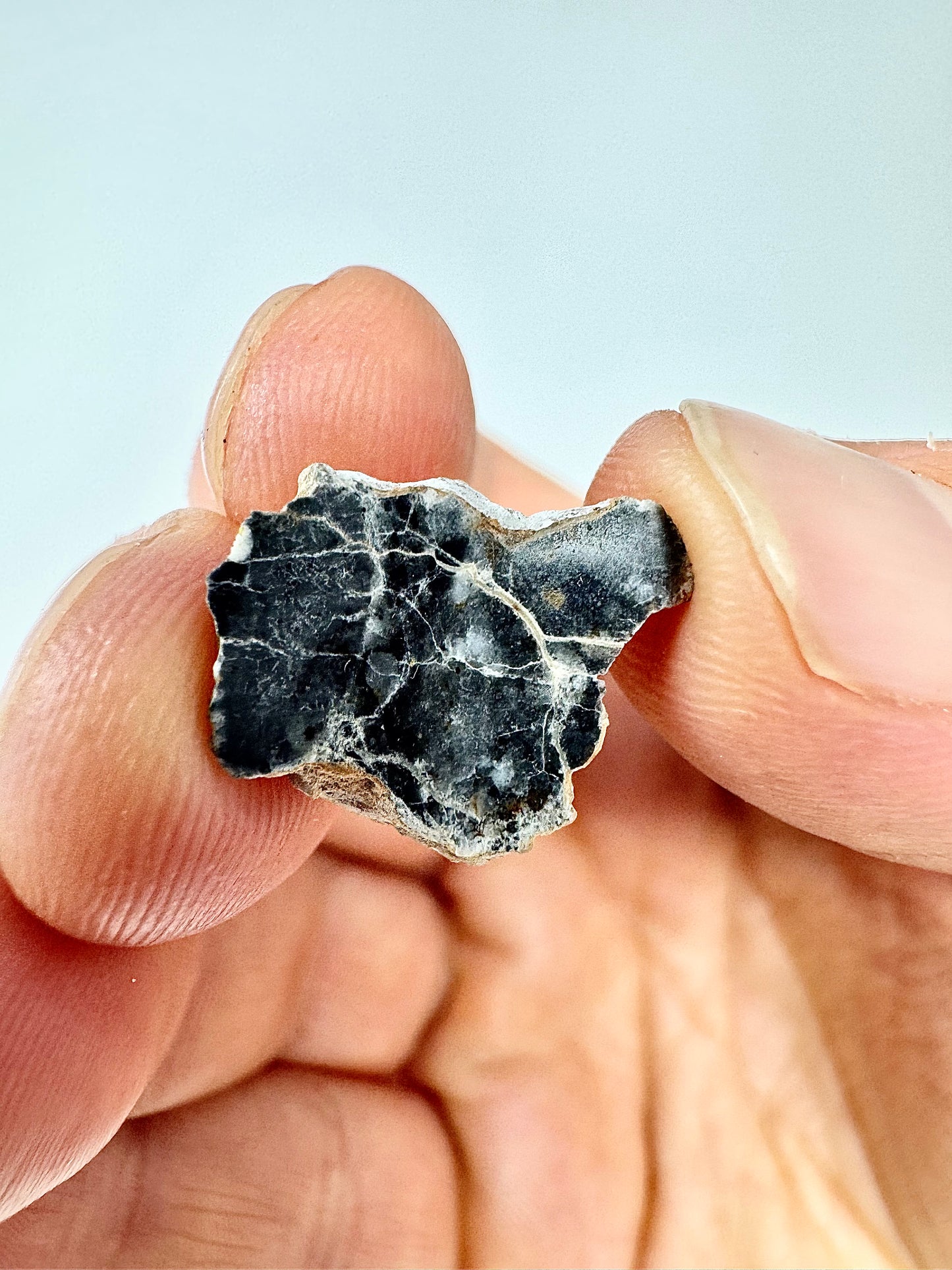 1.0g Bechar 003 Lunar Feldspathic Breccia - From Our Moon!
