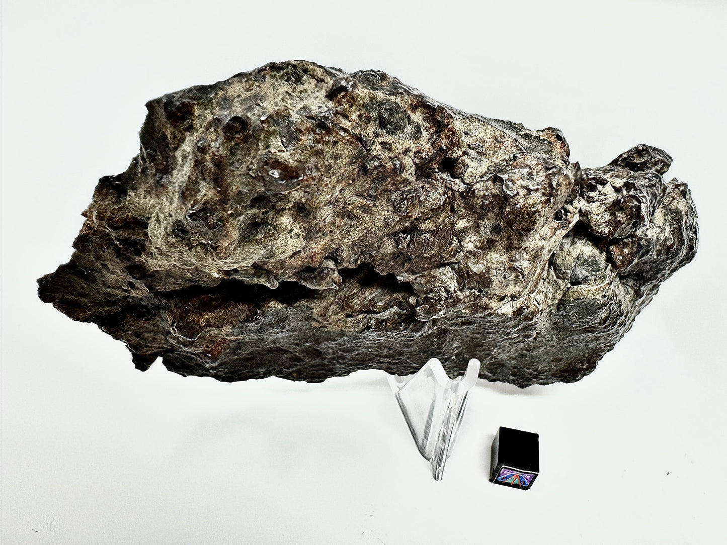 MAIN MASS! 462.7 El Milhas 005 Mesosiderite Meteorite End Cut - The Estherville Lookalike!