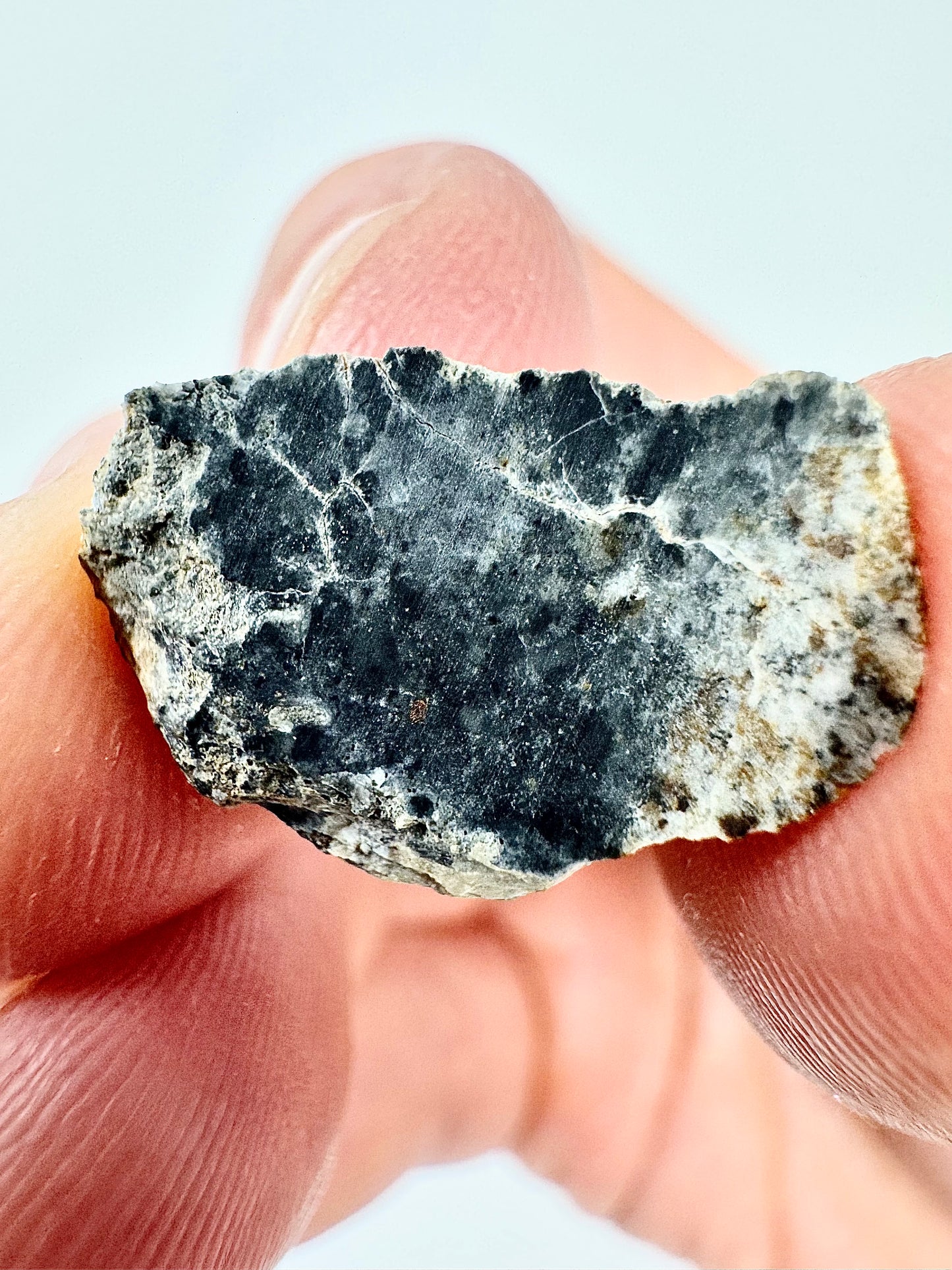 Stunning Bechar 003 Lunar Feldspathic Breccia - 1.1g - A Piece Of Our Moon!