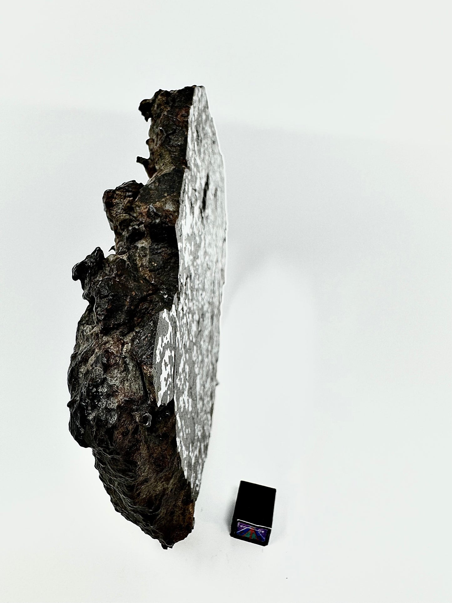 MAIN MASS! 462.7 El Milhas 005 Mesosiderite Meteorite End Cut - The Estherville Lookalike!