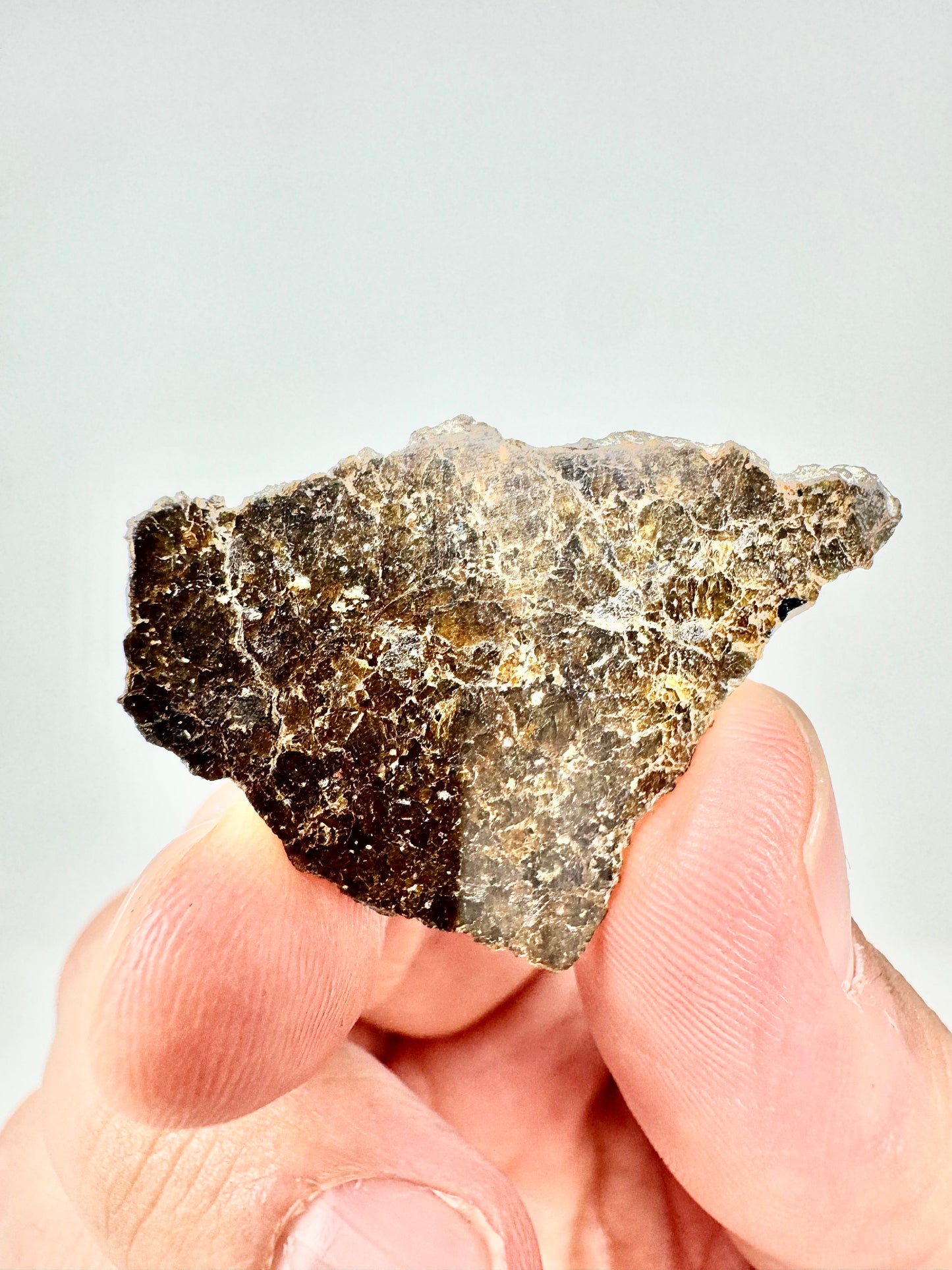 2.6g NWA 16317 Translucent Diogenite Meteorite - Parent Body: Asteroid Vesta