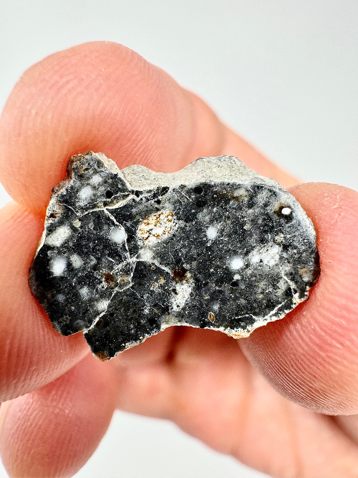 Stunning Bechar 003 Lunar Feldspathic Breccia - 1.5g - A Piece Of Our Moon!