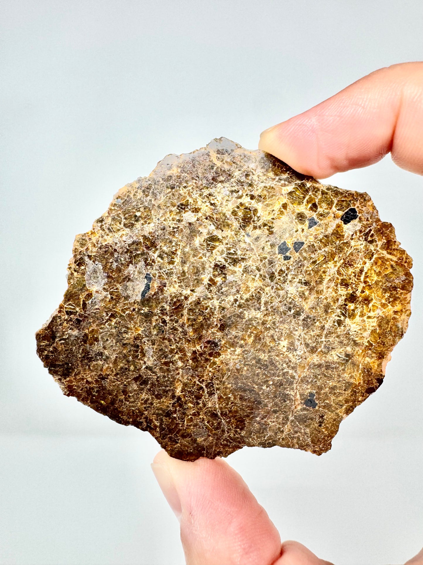 17.3g NWA 16317 Translucent Diogenite Meteorite - Parent Body: Asteroid Vesta