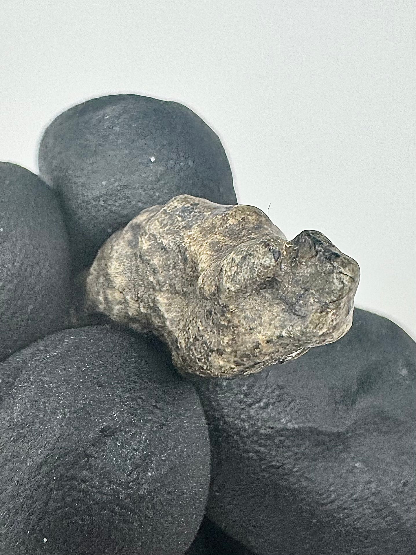 3.2g Genuine Martian Meteorite Amgala 001 - Whole Individual! Scientifically Studied Rock From Planet Mars
