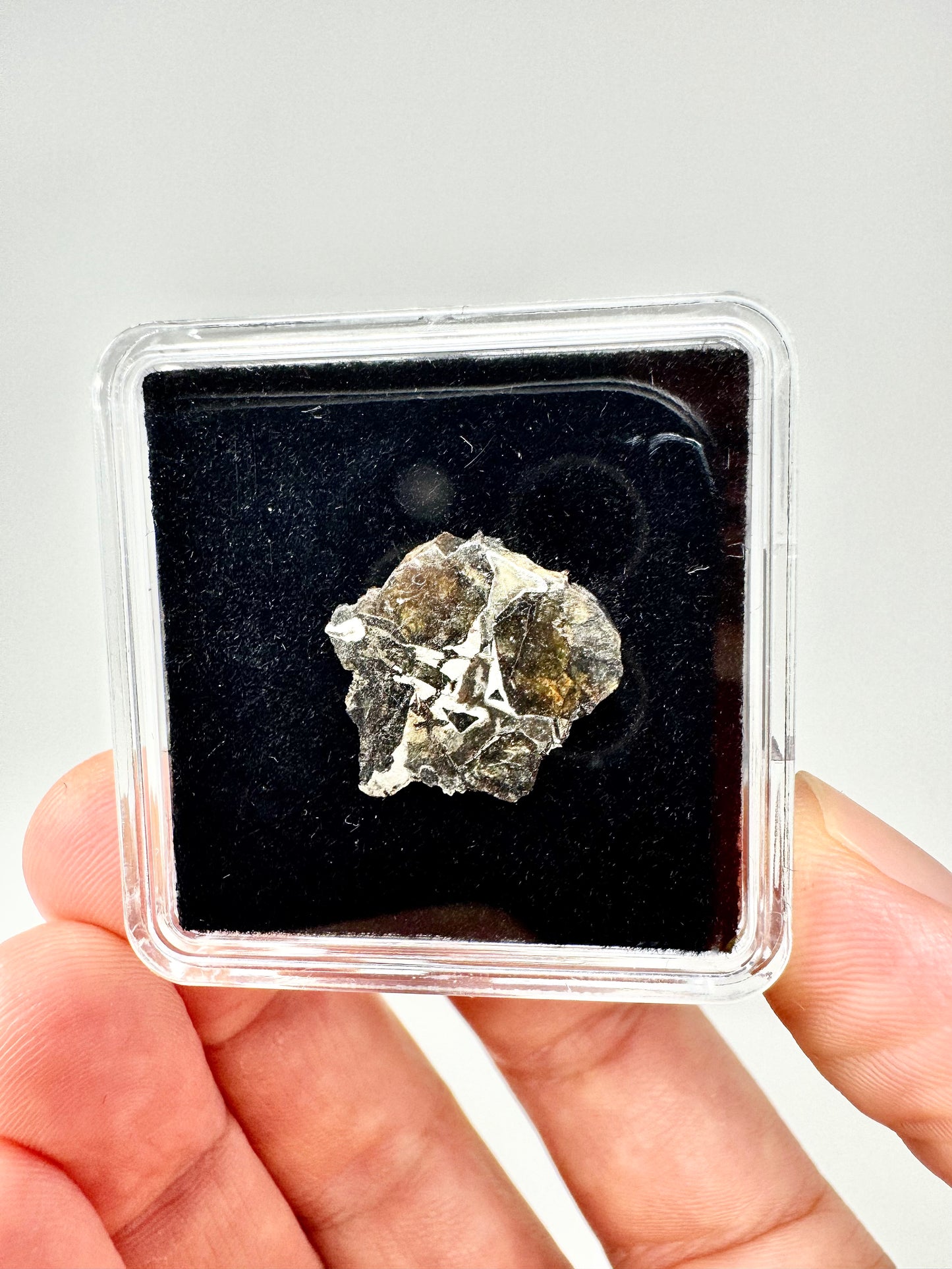 Brahin Pallasite Meteorite - 1.9g - From The Mantle/Core Of An Asteroid - Grade A Translucency