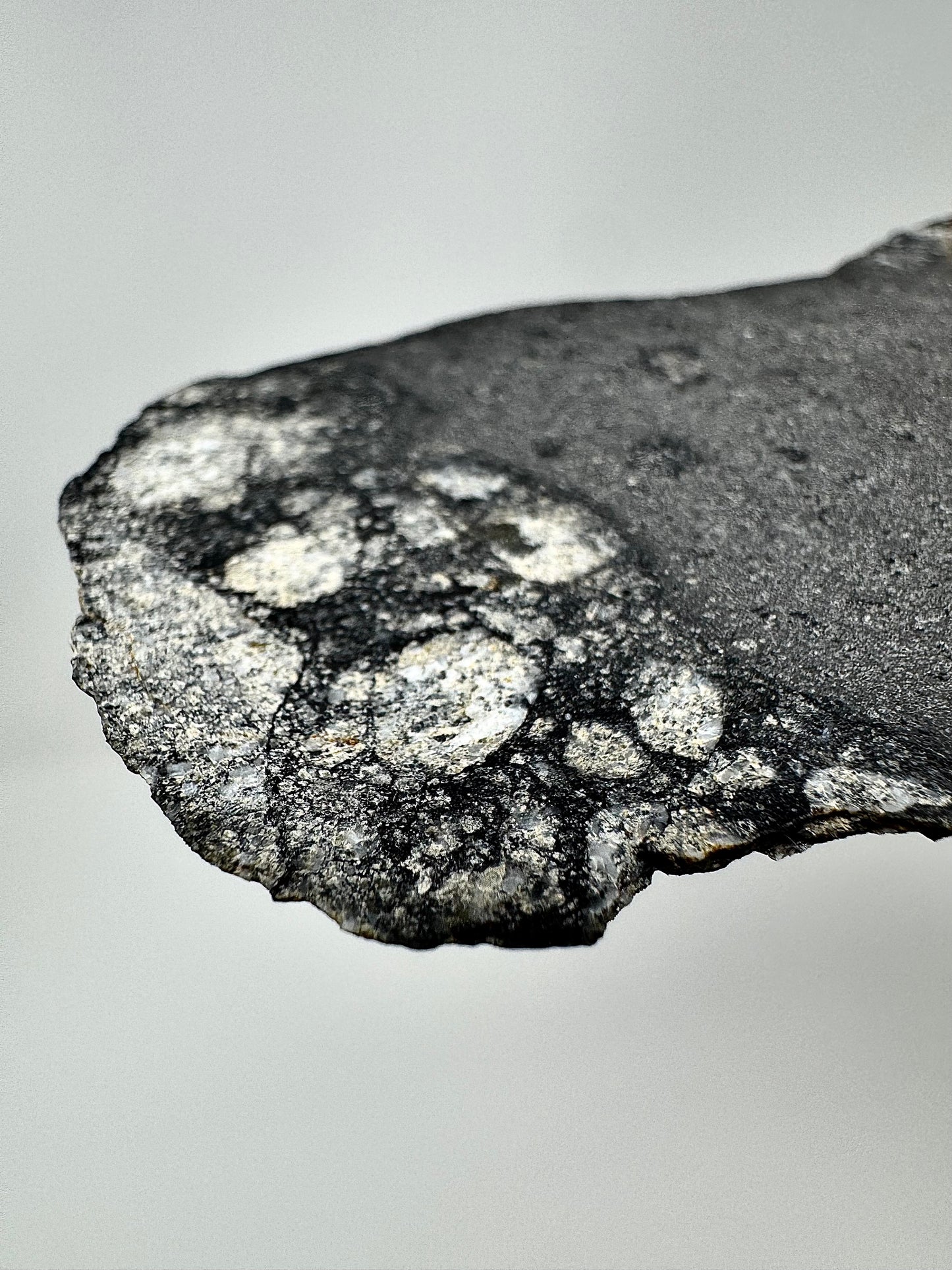 NWA 15923 Eucrite Melt Breccia Meteorite - Distinct Melt Boundary w/ Vesicles! From An Asteroid - 26.8g