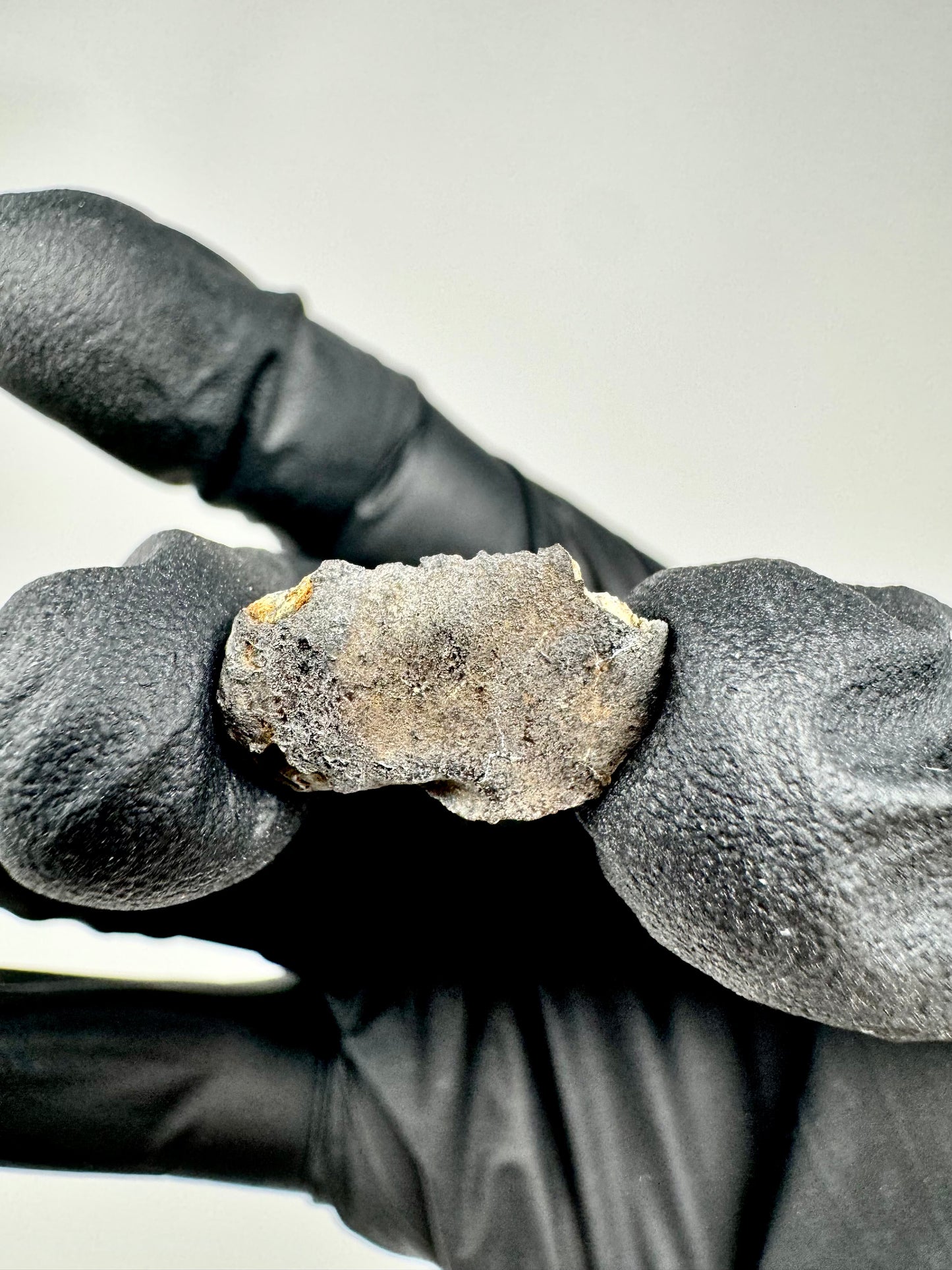 0.9g Chelyabinsk Brecciated Meteorite - End Cut - Jet Black Crust - Incredibly Fresh and Discovered Immediately After the Fall!