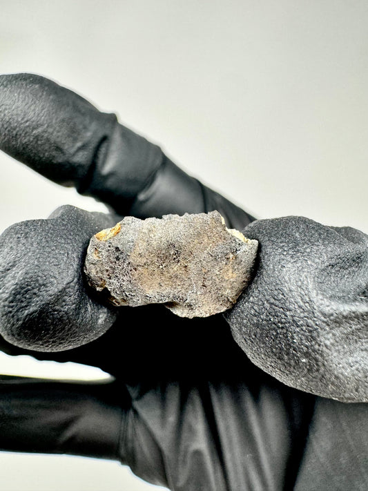 0.9g Chelyabinsk Brecciated Meteorite - End Cut - Jet Black Crust - Incredibly Fresh and Discovered Immediately After the Fall!
