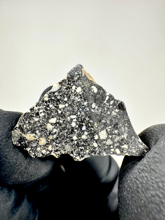 Stunning NWA 14685 Lunar Meteorite - 1.6g - Polished!