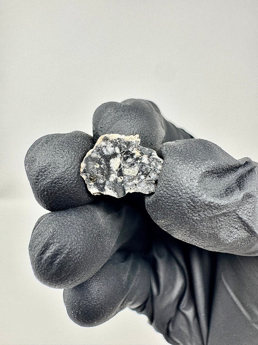 Stunning Bechar 003 Lunar Feldspathic Breccia - 0.6g - A Piece Of Our Moon!