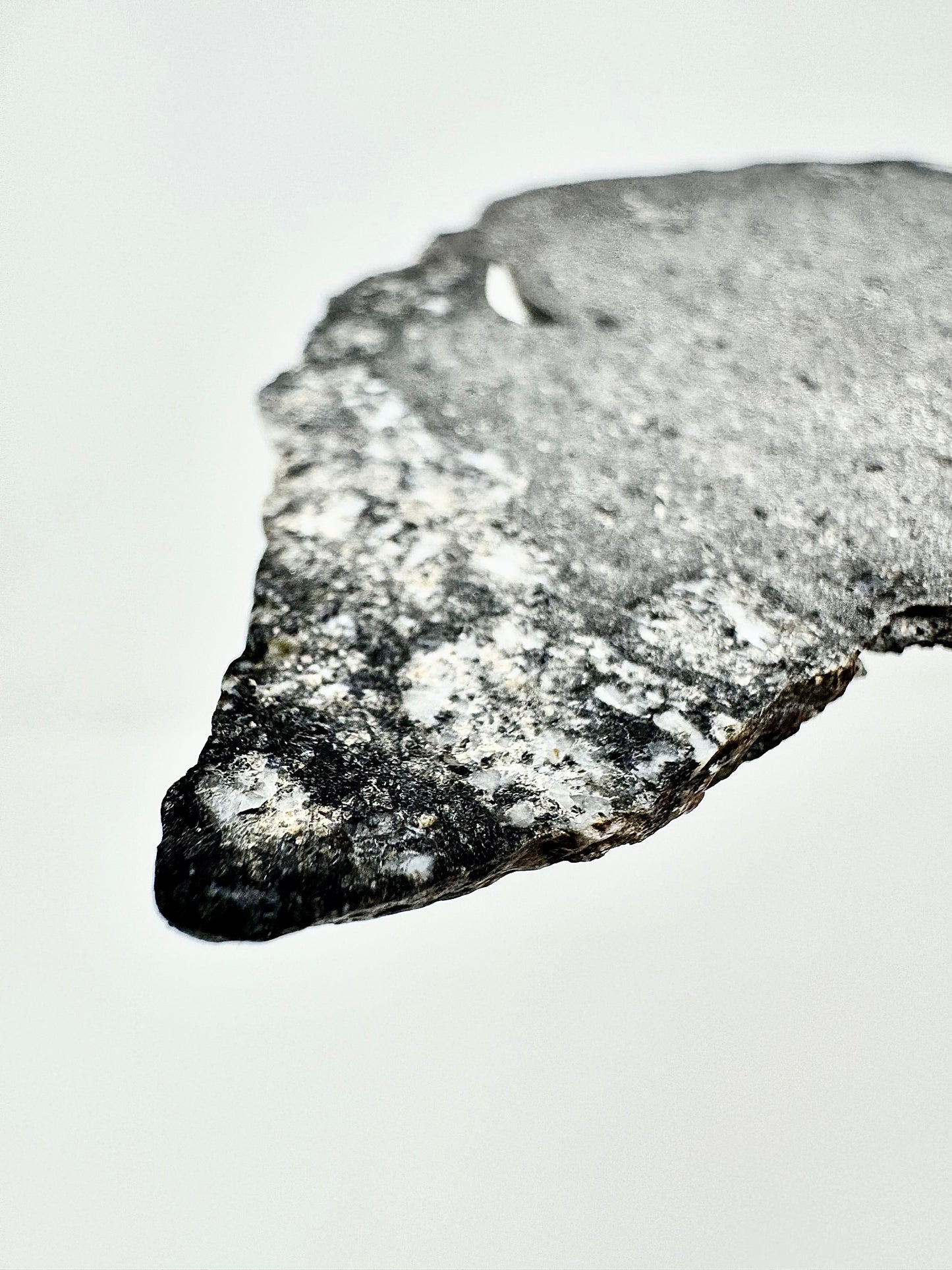 NWA 15923 Eucrite Melt Breccia Meteorite - Distinct Melt Boundary w/ Vesicles! From An Asteroid - 26.8g