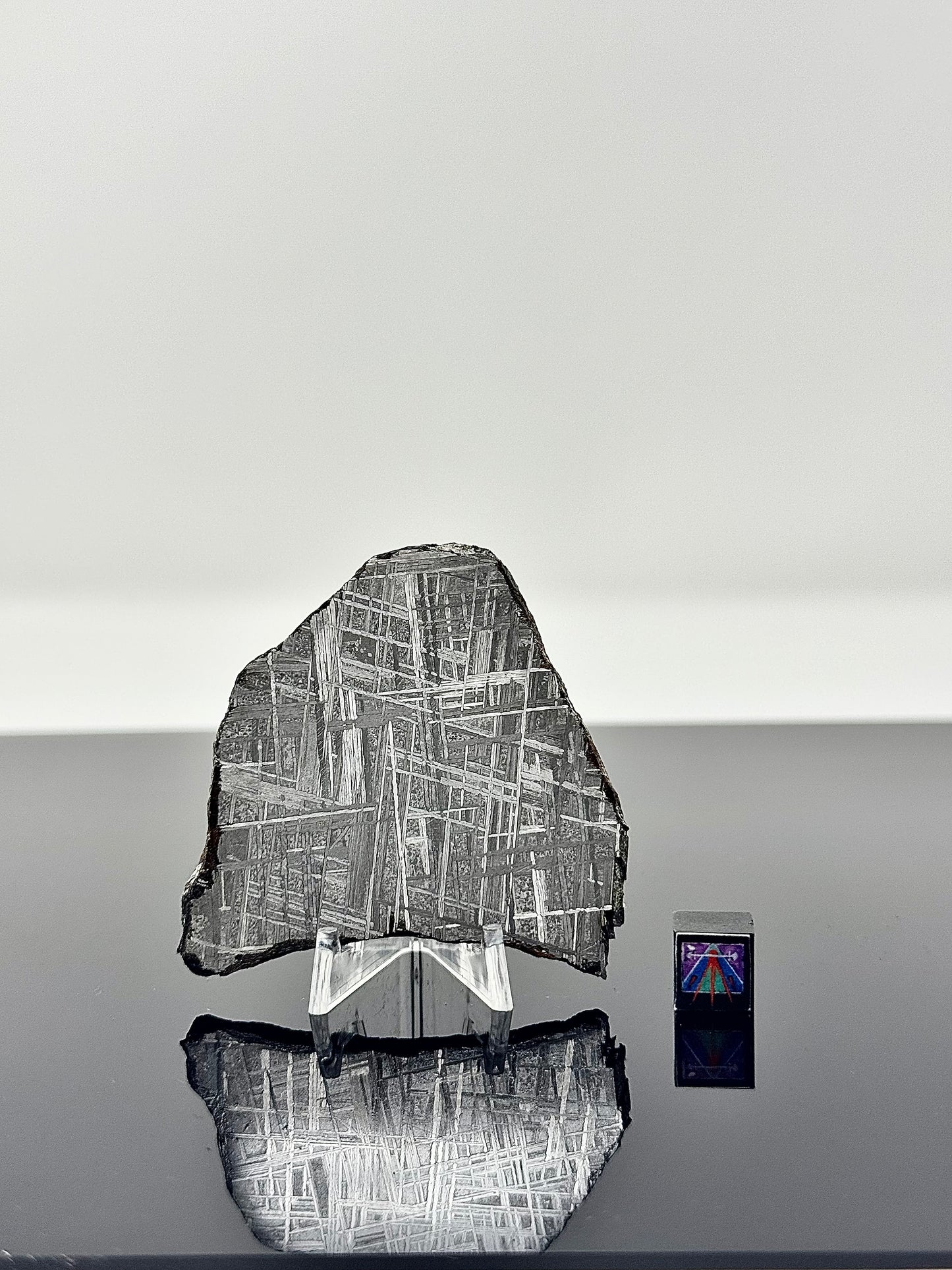Muonionalusta Iron Meteorite - 55.4g Full Wedged Slice - From The Core Of An Asteroid!