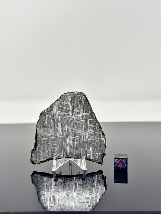 Muonionalusta Iron Meteorite - 55.4g Full Wedged Slice - From The Core Of An Asteroid!