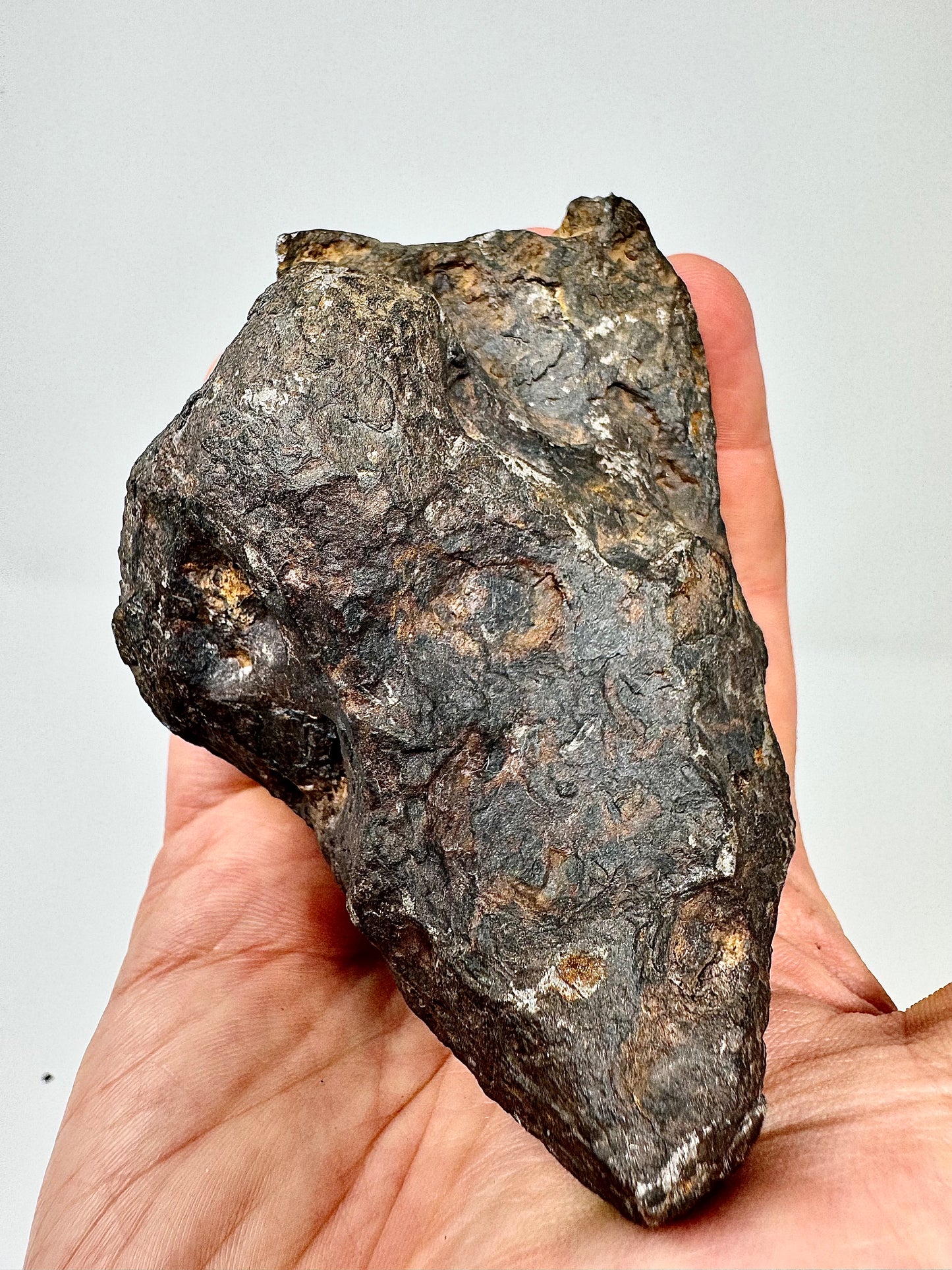 1,223g Campo Del Cielo Iron Meteorite - Beautiful Features