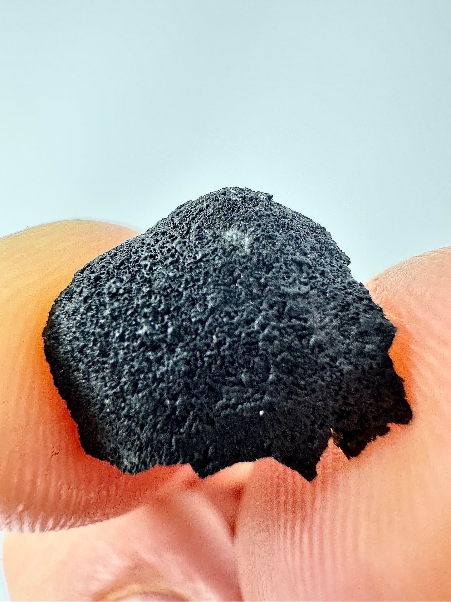1.1g Chelyabinsk Brecciated Meteorite - End Cut - Jet Black Crust - Incredibly Fresh and Discovered Immediately After the Fall!