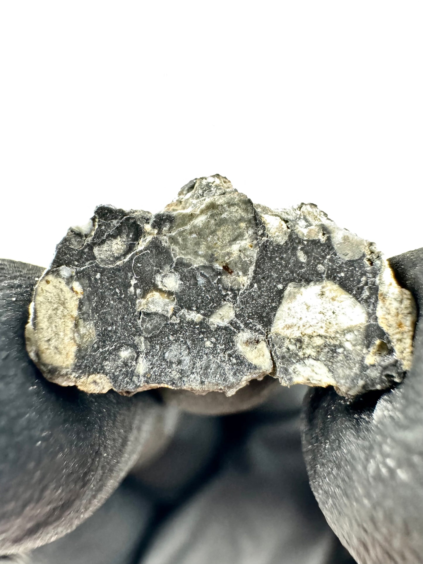 Stunning Bechar 003 Lunar Feldspathic Breccia - 0.7g - A Piece Of Our Moon!