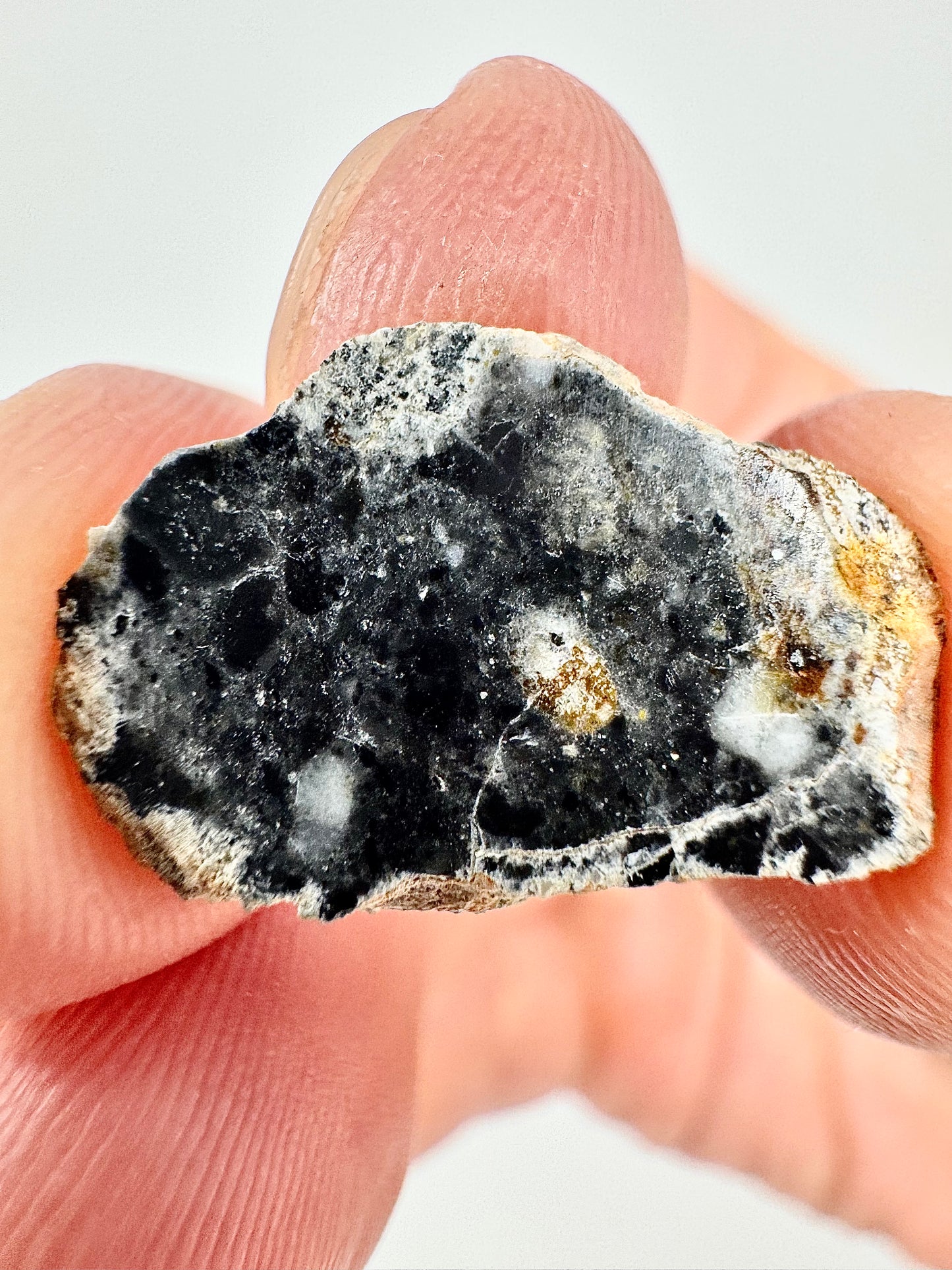 Stunning Bechar 003 Lunar Feldspathic Breccia - 1.1g - A Piece Of Our Moon!