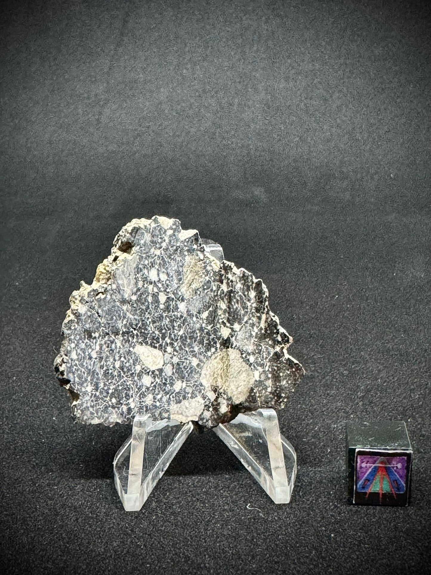 NWA 14685 Lunar Fragmental Breccia - Full Slice - 9.6g
