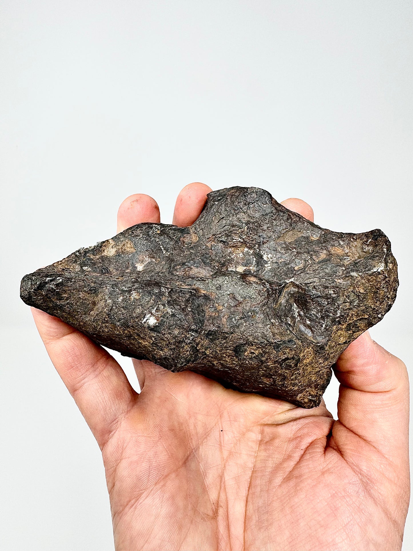 1,171g Campo Del Cielo Iron Meteorite - Beautiful Features and a HUGE regmyglypt!