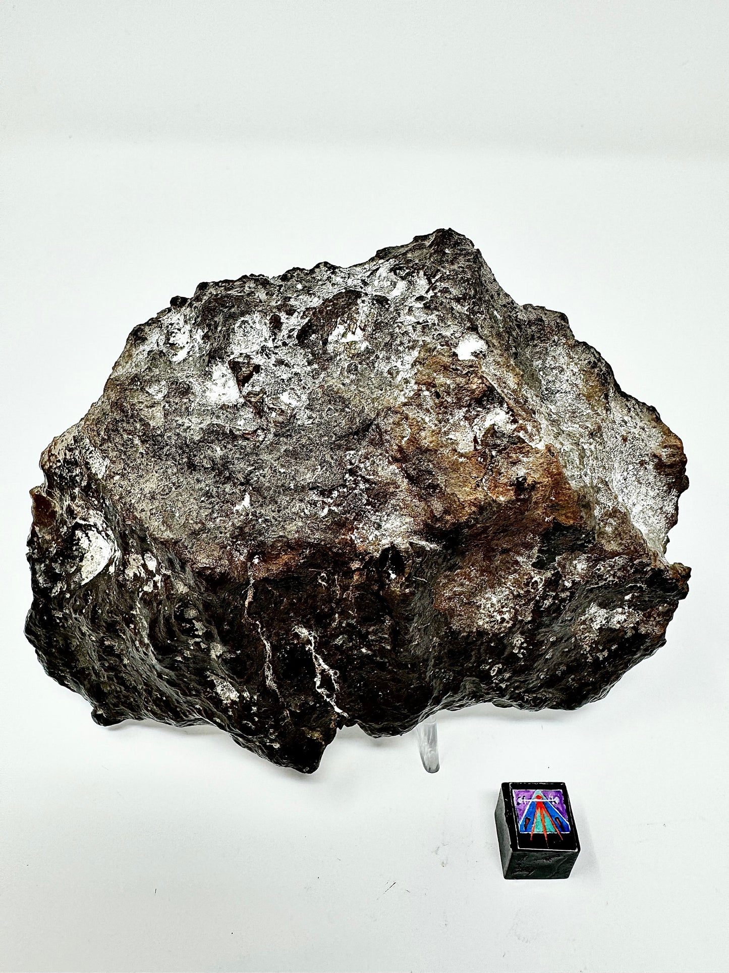 363.4g NWA 14518 Mesosiderite End Cut Meteorite - Huge Pyroxene Crystals!