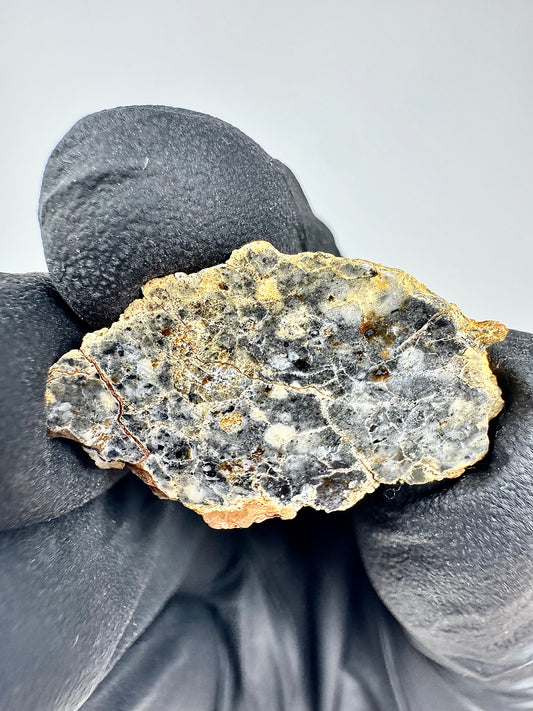 Stunning Bechar 003 Lunar Feldspathic Breccia - 2.1g - A Piece Of Our Moon!