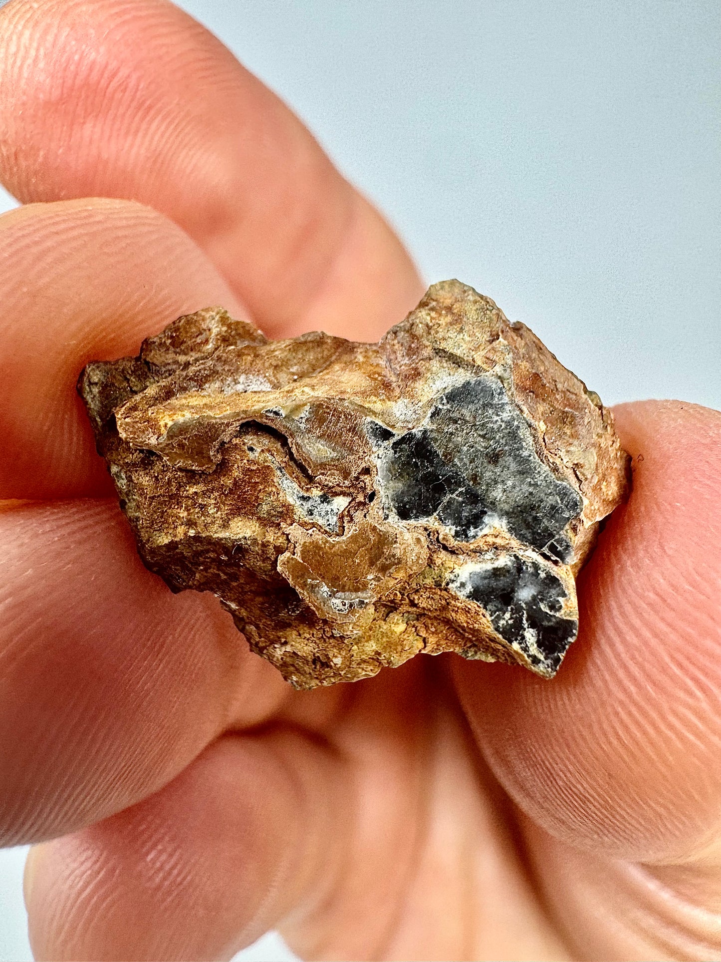 Stunning Bechar 003 Lunar Feldspathic Breccia - 2.0g - A Piece Of Our Moon!