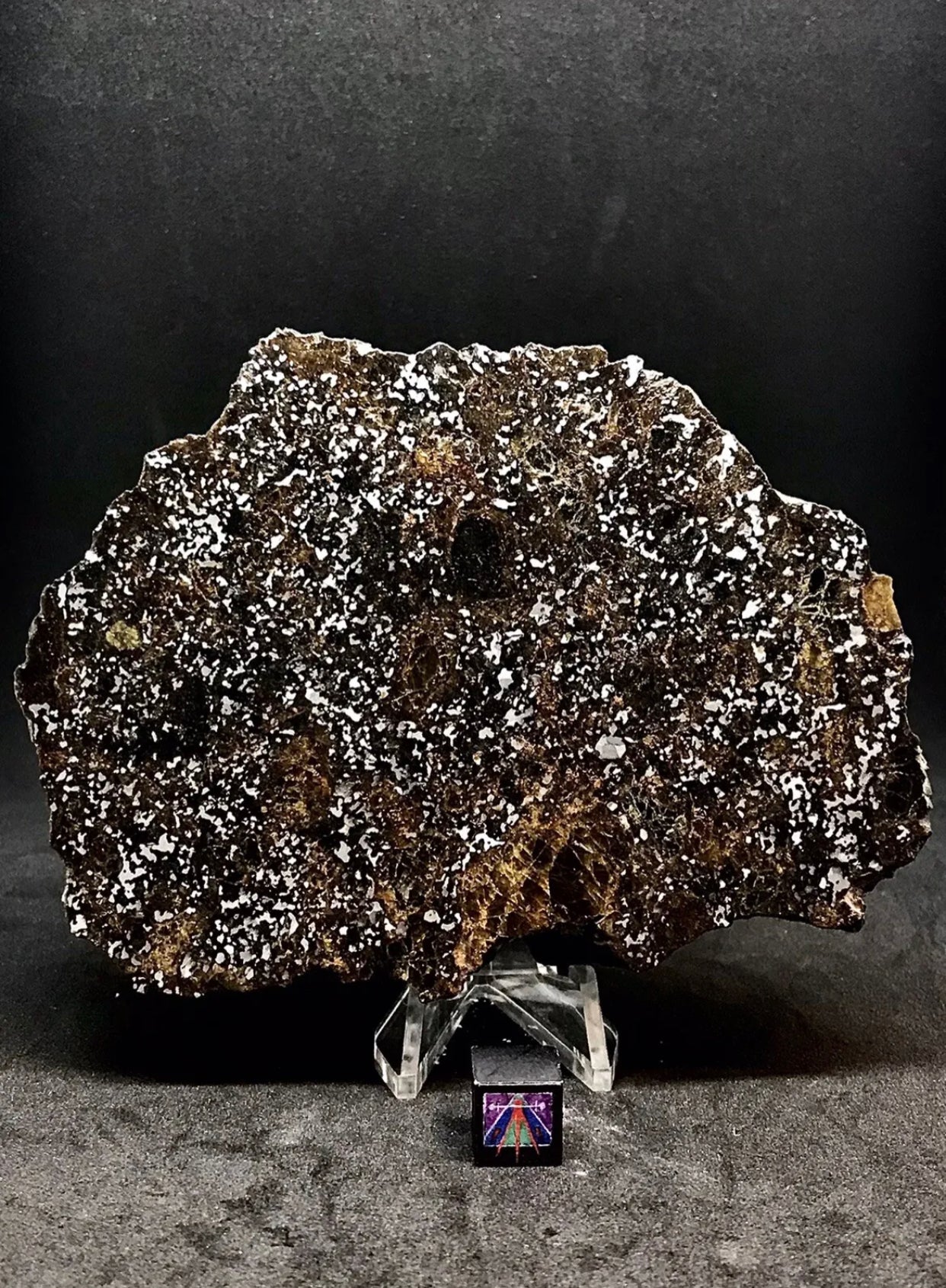 363g Nwa 14518 Mesosiderite End Cut Meteorite Huge Pyroxene Crystals The Interstellar Collection