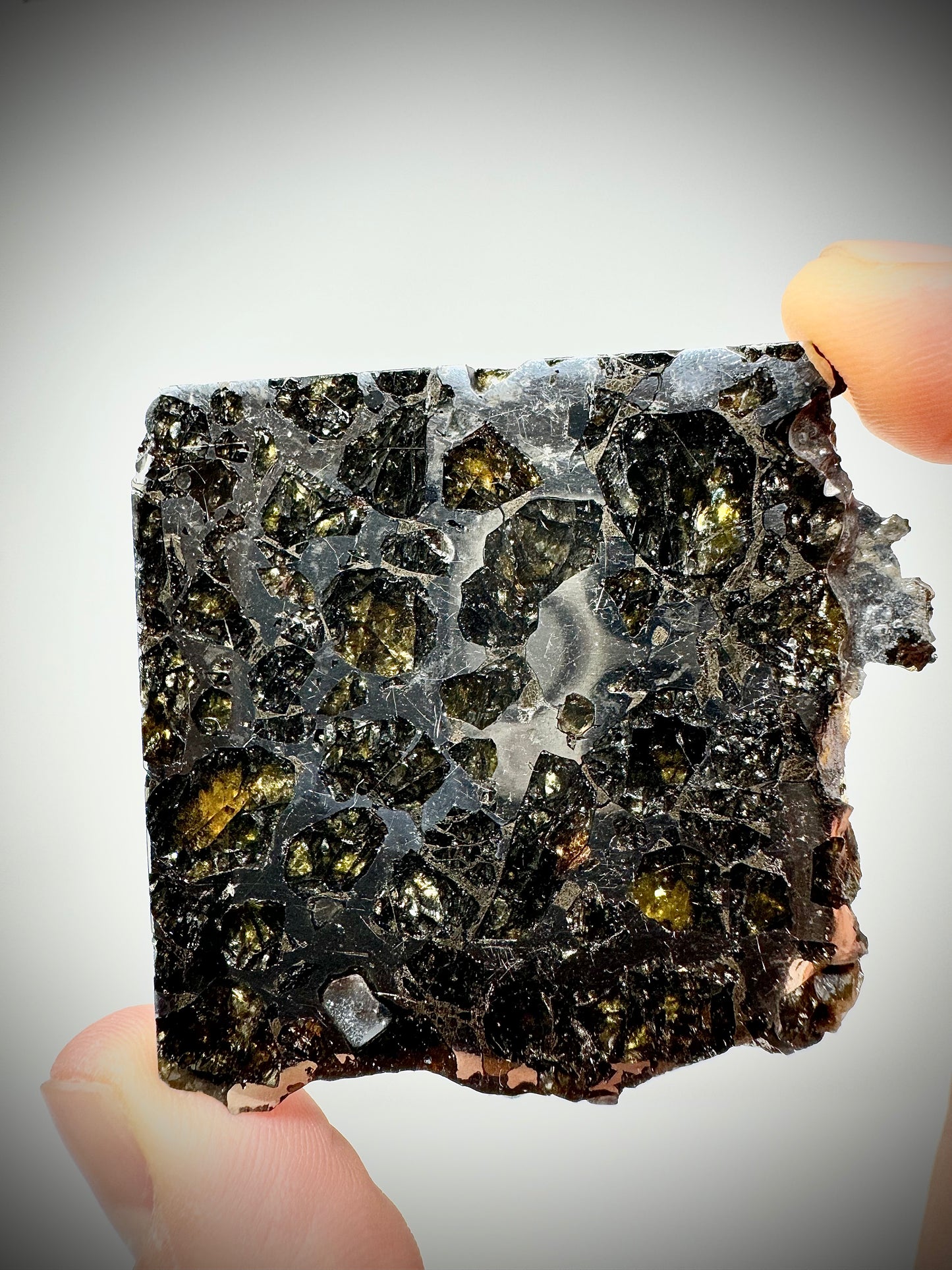 Brahin Pallasite Meteorite - 45.8g - From The Mantle/Core Of An Asteroid - Thick Cut - Very Little Translucency