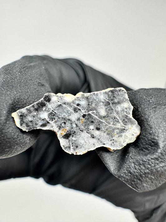Stunning Bechar 003 Lunar Feldspathic Breccia - 1.0g - A Piece Of Our Moon!