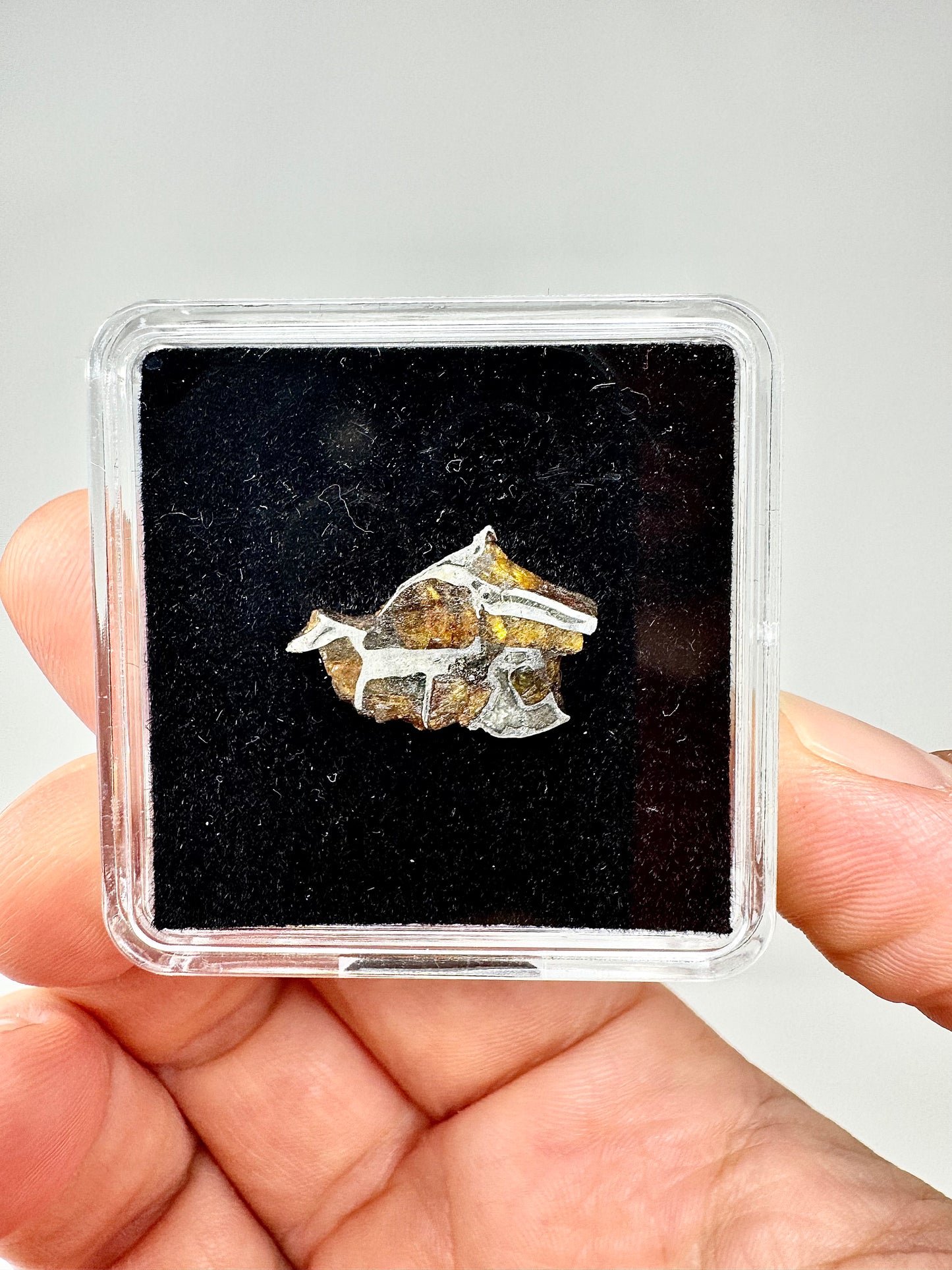 Brahin Pallasite Meteorite - 1.5g - From The Mantle/Core Of An Asteroid - Grade A Translucency