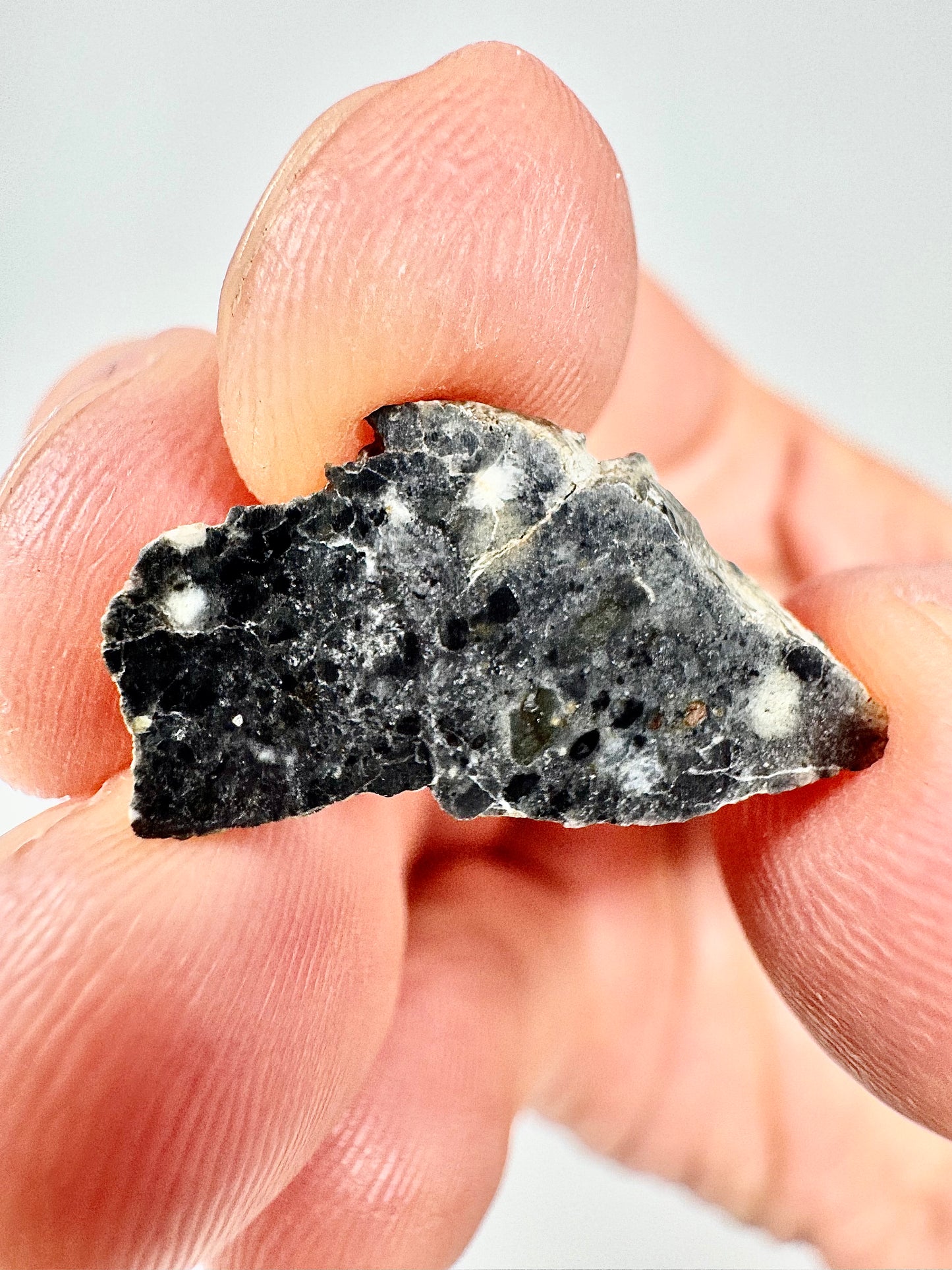 Stunning Bechar 003 Lunar Feldspathic Breccia - 1.0g - A Piece Of Our Moon!