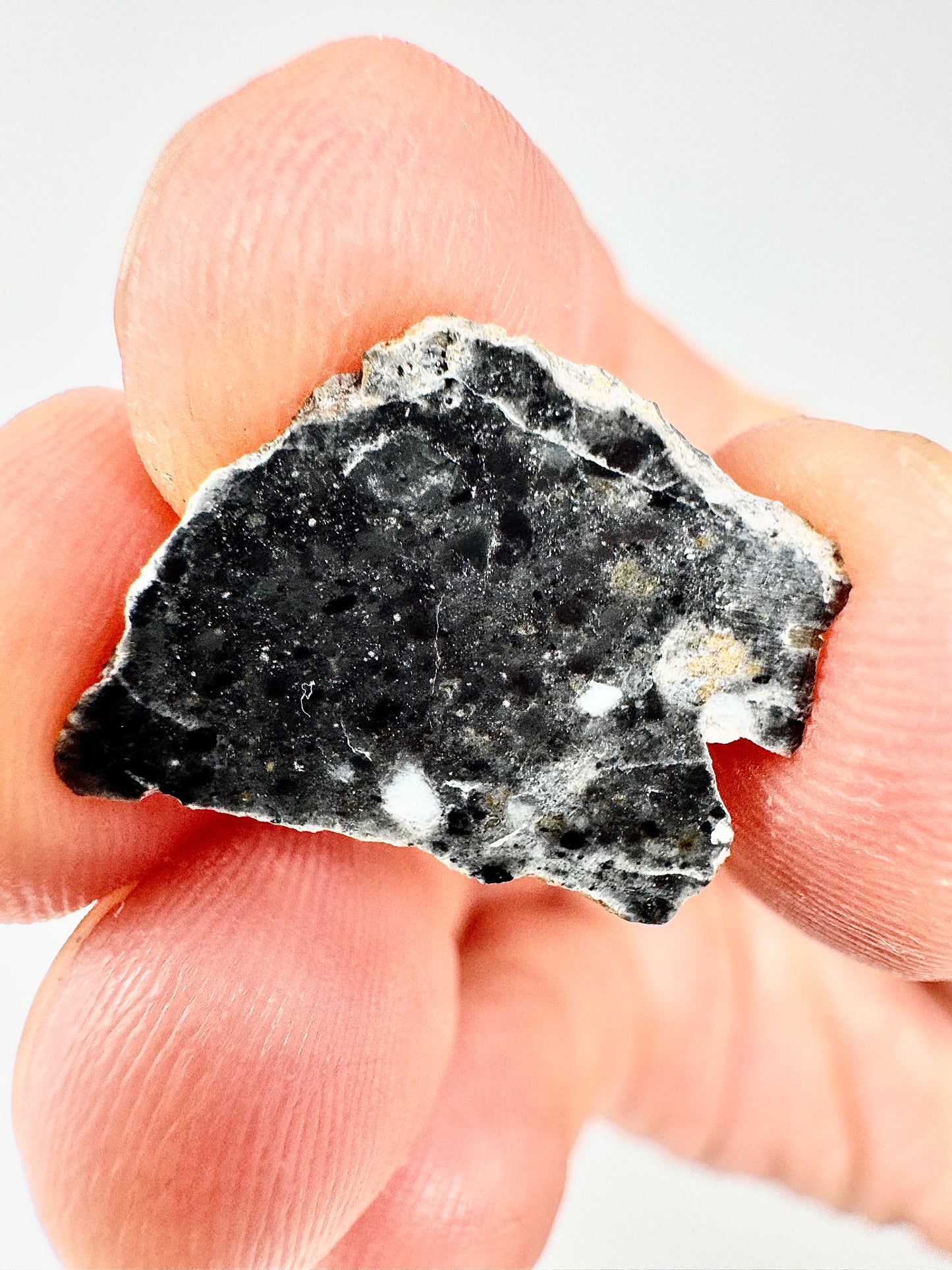 Stunning Bechar 003 Lunar Feldspathic Breccia - 1.1g - A Piece Of Our Moon!