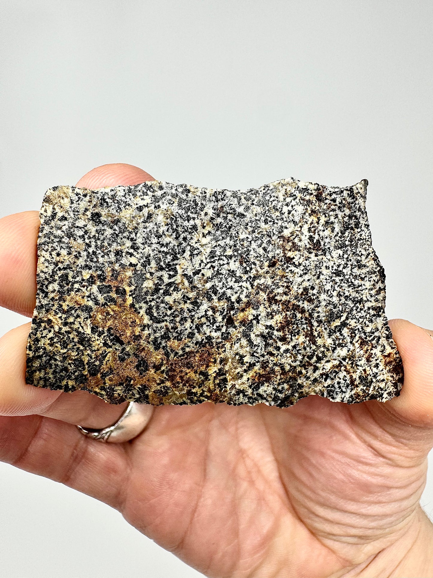 NWA 16312 Eucrite Meteorite - 15.1g - From An Asteroid - Part Of The HED Group