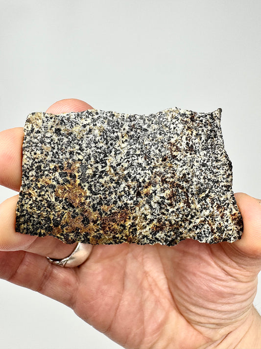 NWA 16312 Eucrite Meteorite - 15.1g - From An Asteroid - Part Of The HED Group