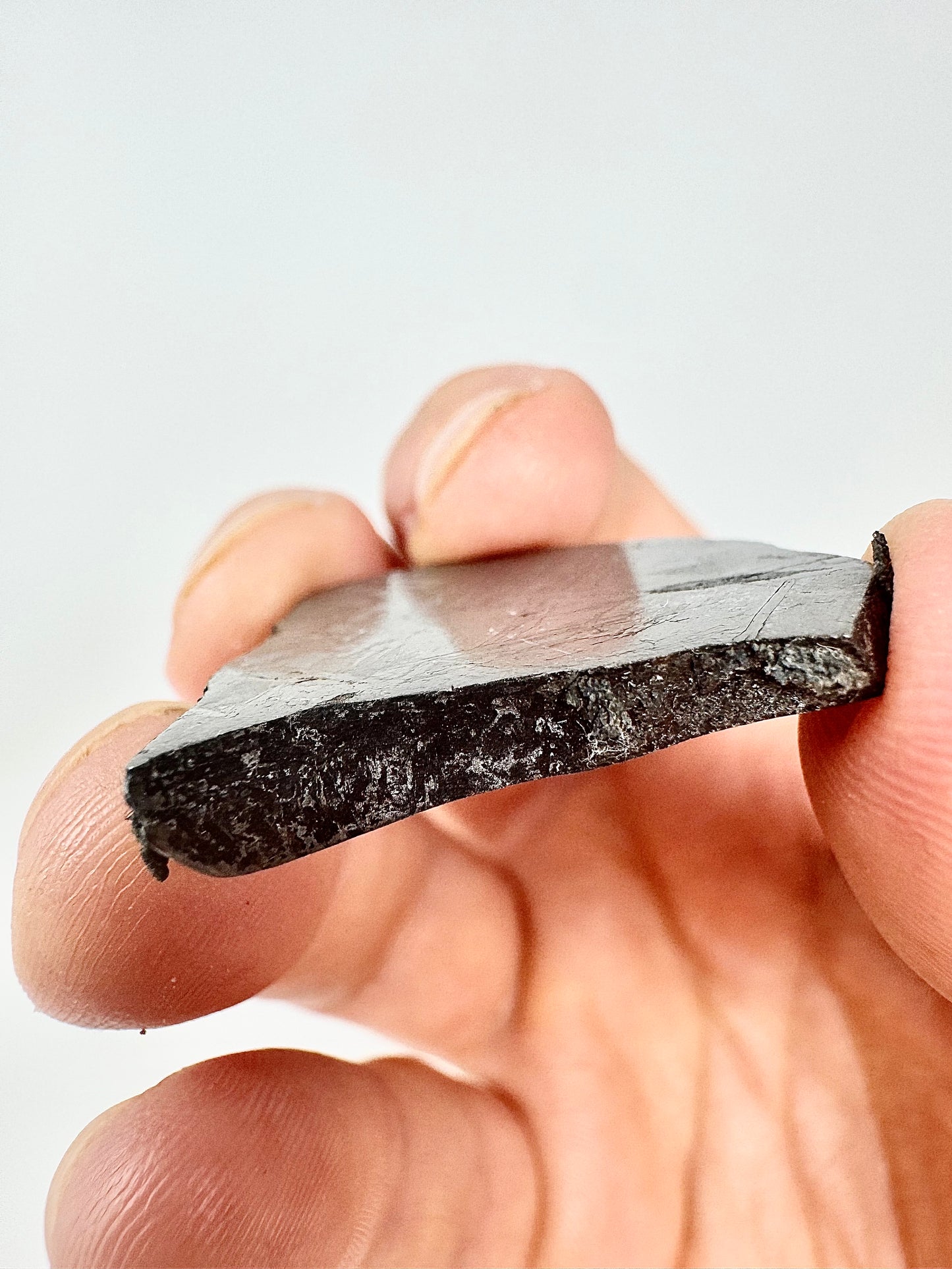 Beautiful, Newly Discovered Iron Meteorite - 21.0 Full Slice