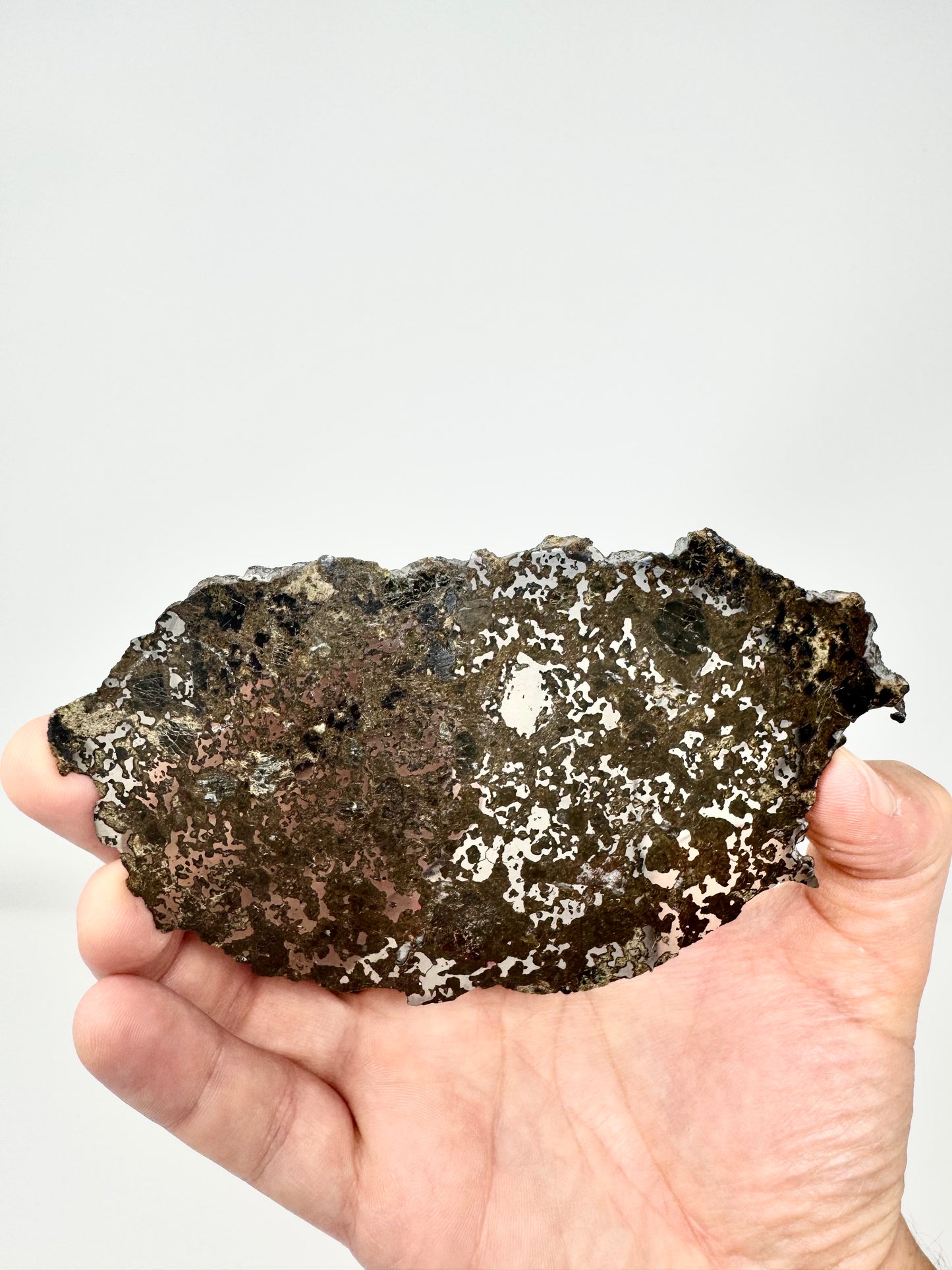 72.1g El Milhas 005 Mesosiderite Meteorite - The Estherville Lookalike!