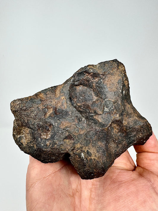1,171g Campo Del Cielo Iron Meteorite - Beautiful Features and a HUGE regmyglypt!