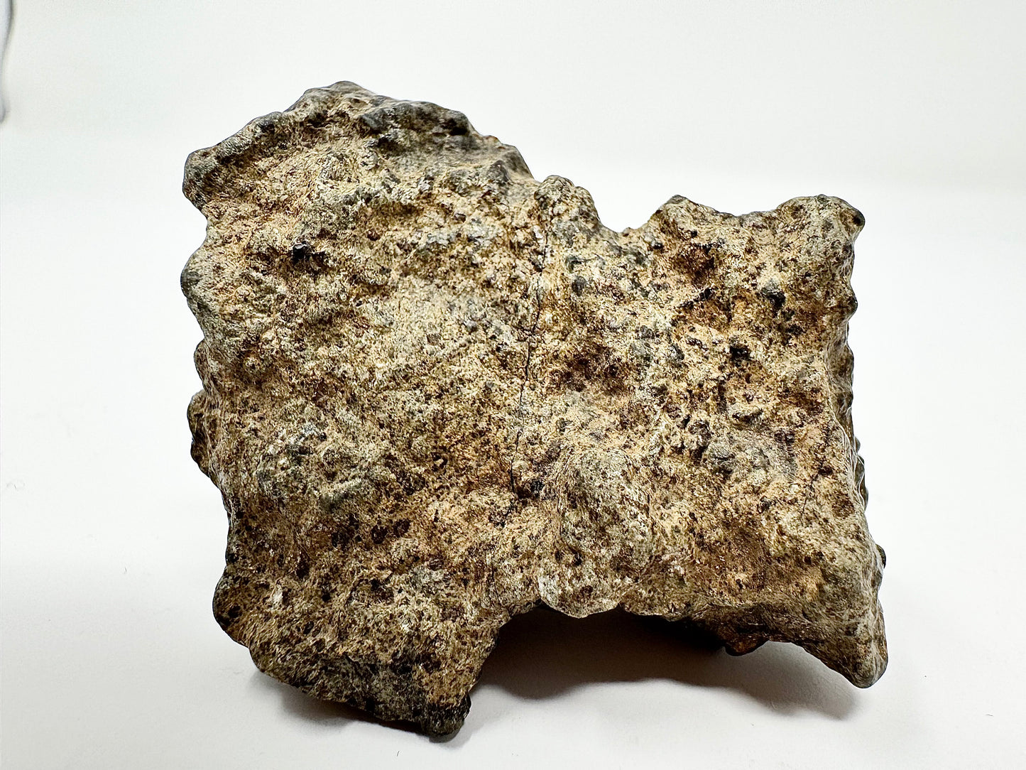 57.4g Genuine Martian Meteorite Amgala 001 Individual - Scientifically Studied Rock From Planet Mars