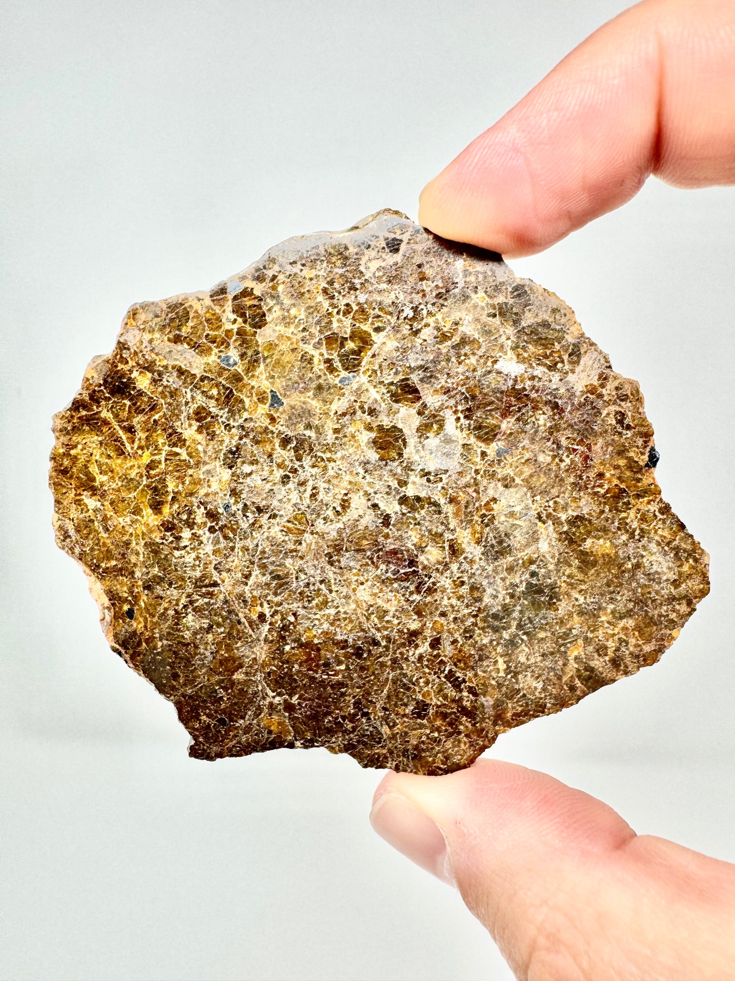17.3g NWA 16317 Translucent Diogenite Meteorite - Parent Body: Asteroid Vesta