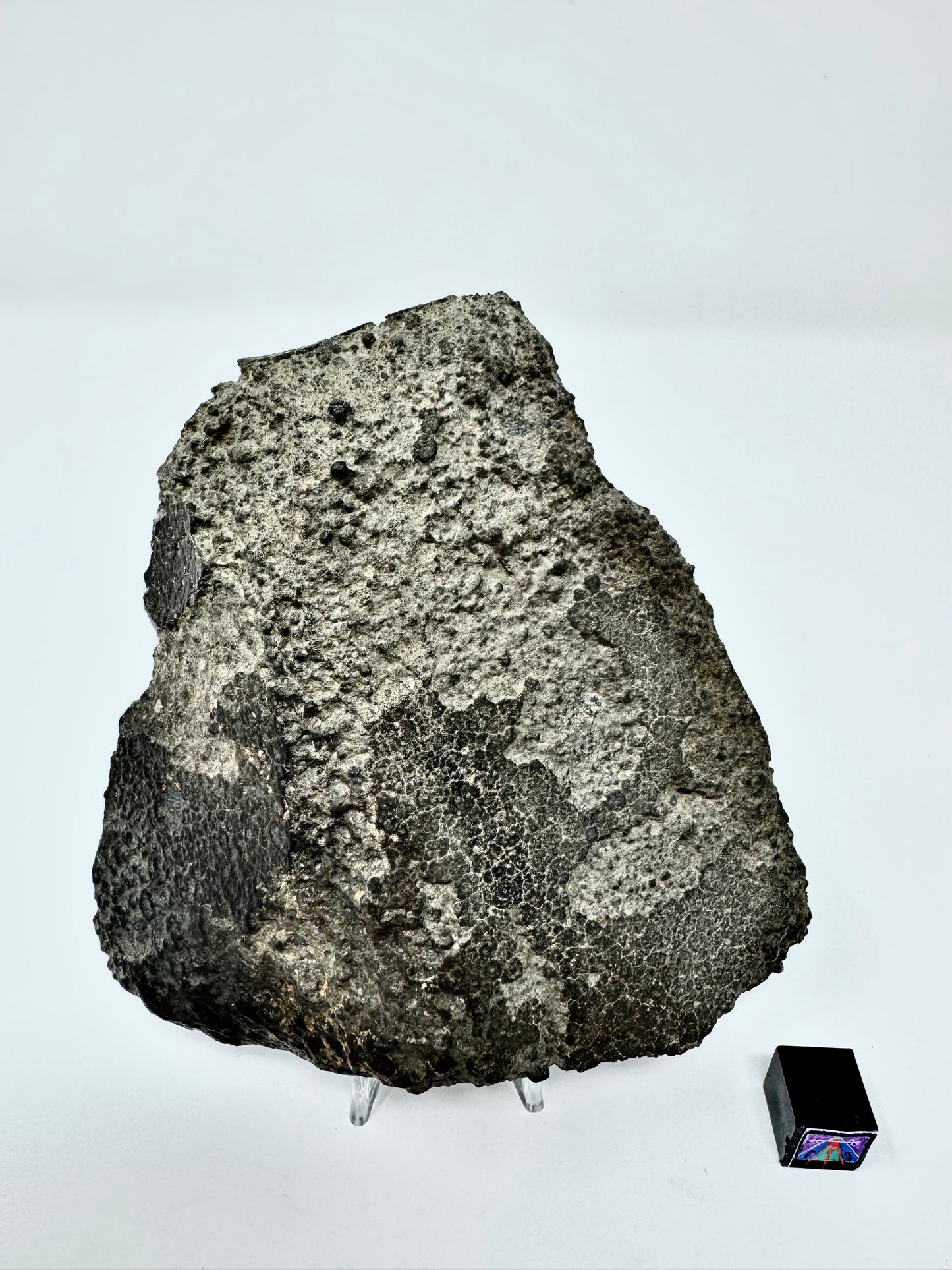 NWA 16314 Carbonaceous Chondrite CK5 Meteorite End Cut w/ Fusion Crust - 281.6g