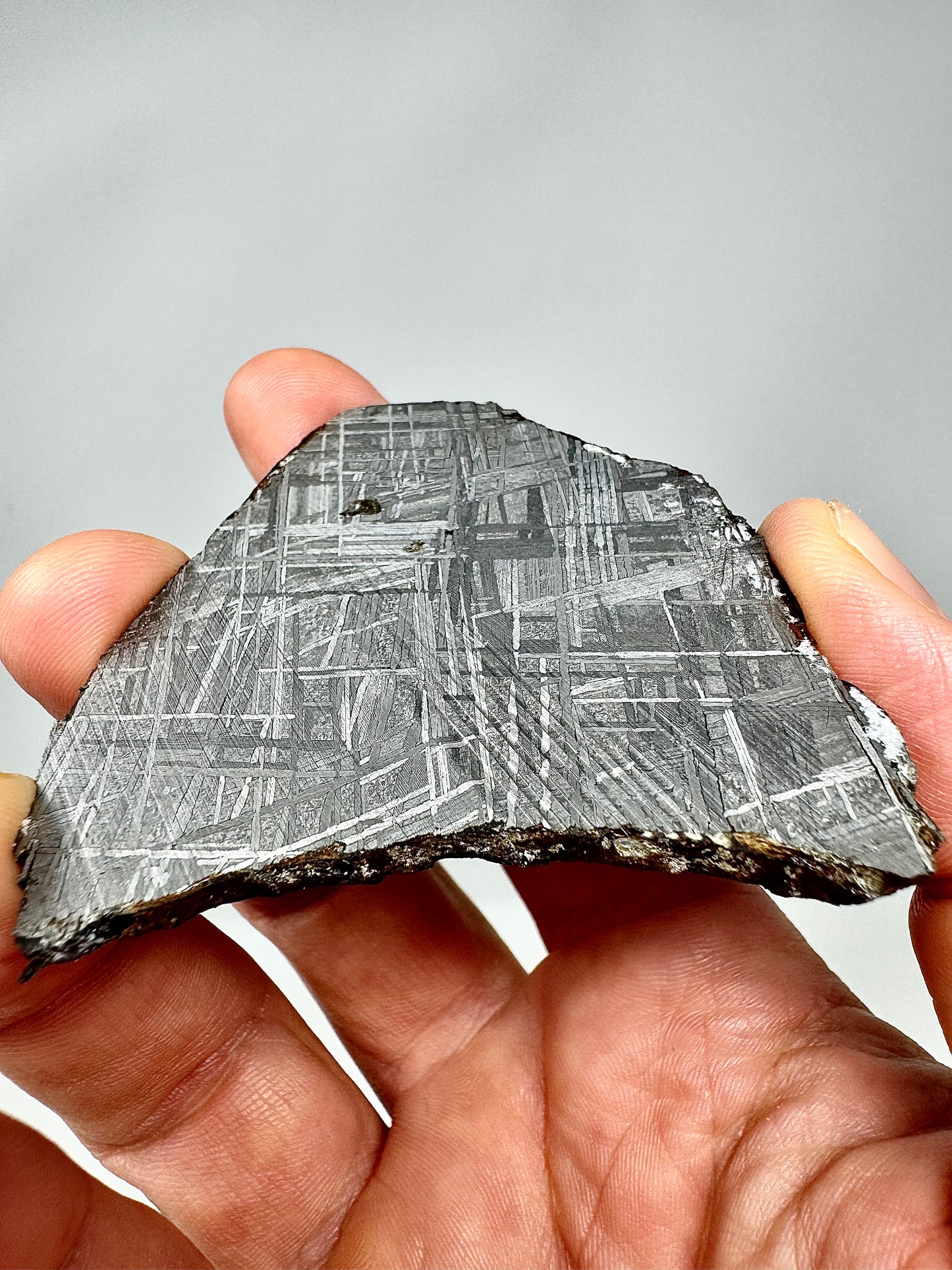 Muonionalusta Iron Meteorite - 55.4g Full Wedged Slice - From The Core Of An Asteroid!