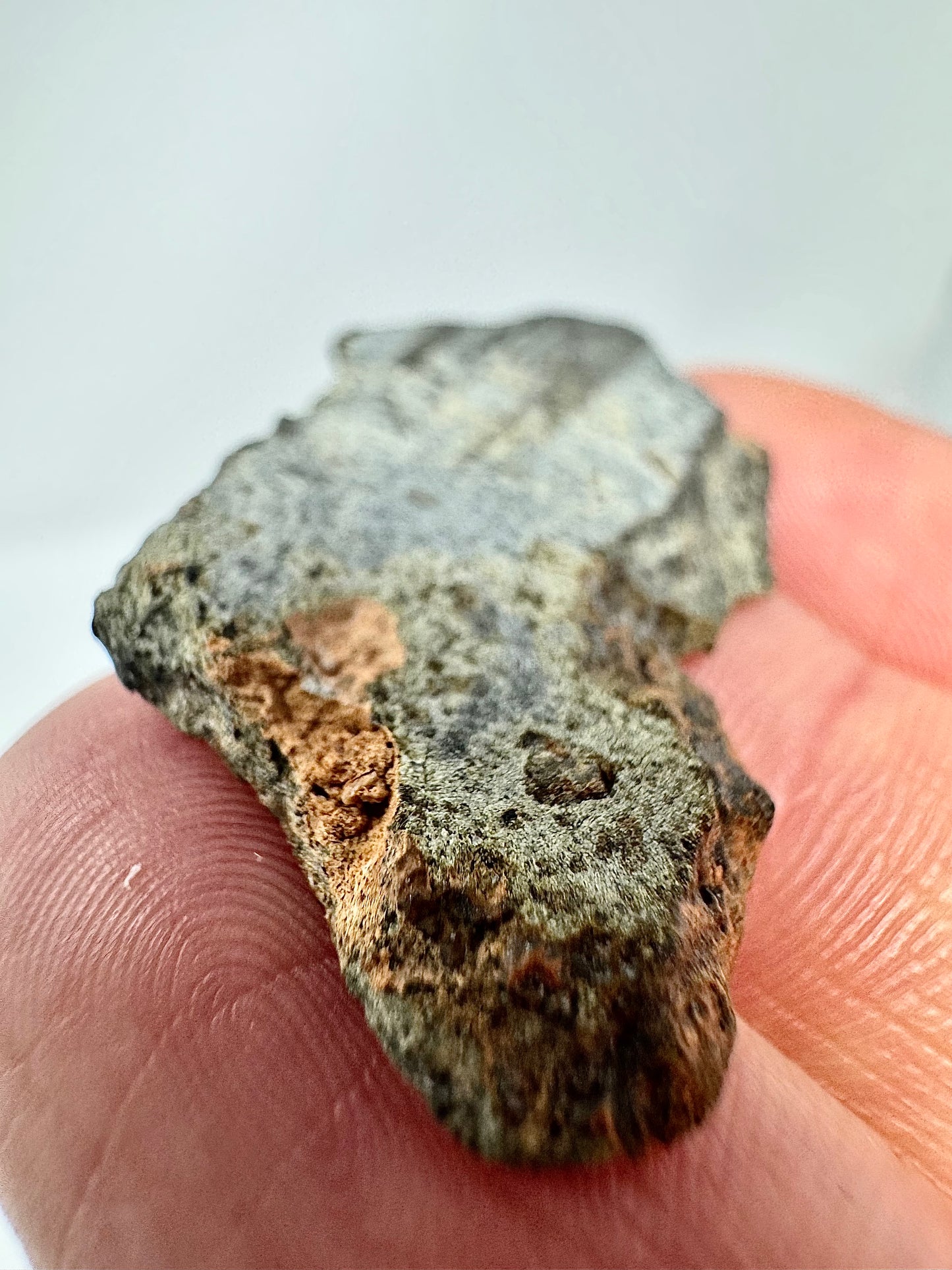 4.4g Genuine Martian Meteorite Amgala 001 with Shock Vein! Scientifically Studied Rock From Planet Mars