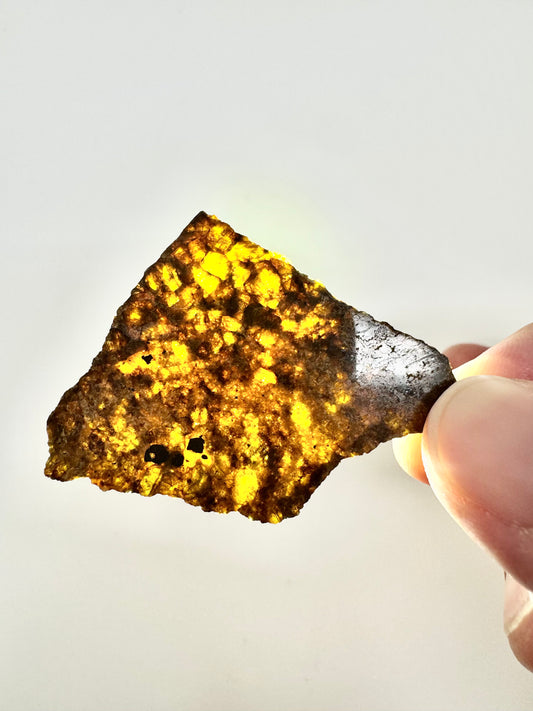 4.2g NWA 16317 Translucent Diogenite Meteorite - Parent Body: Asteroid Vesta
