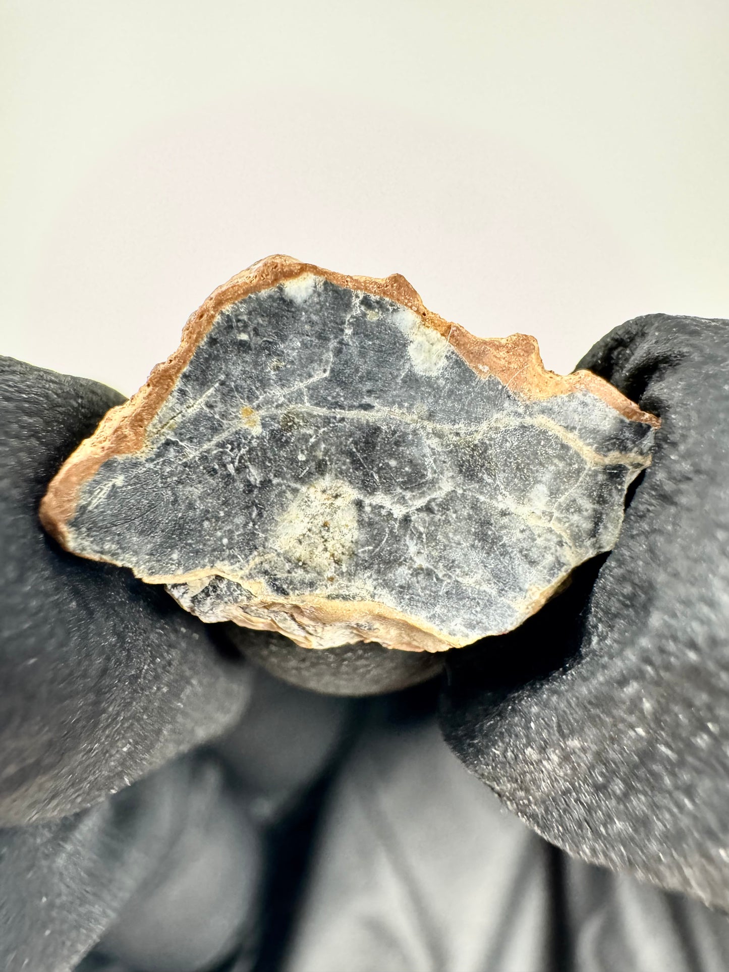 Stunning Bechar 003 Lunar Feldspathic Breccia - 0.9g - A Piece Of Our Moon!