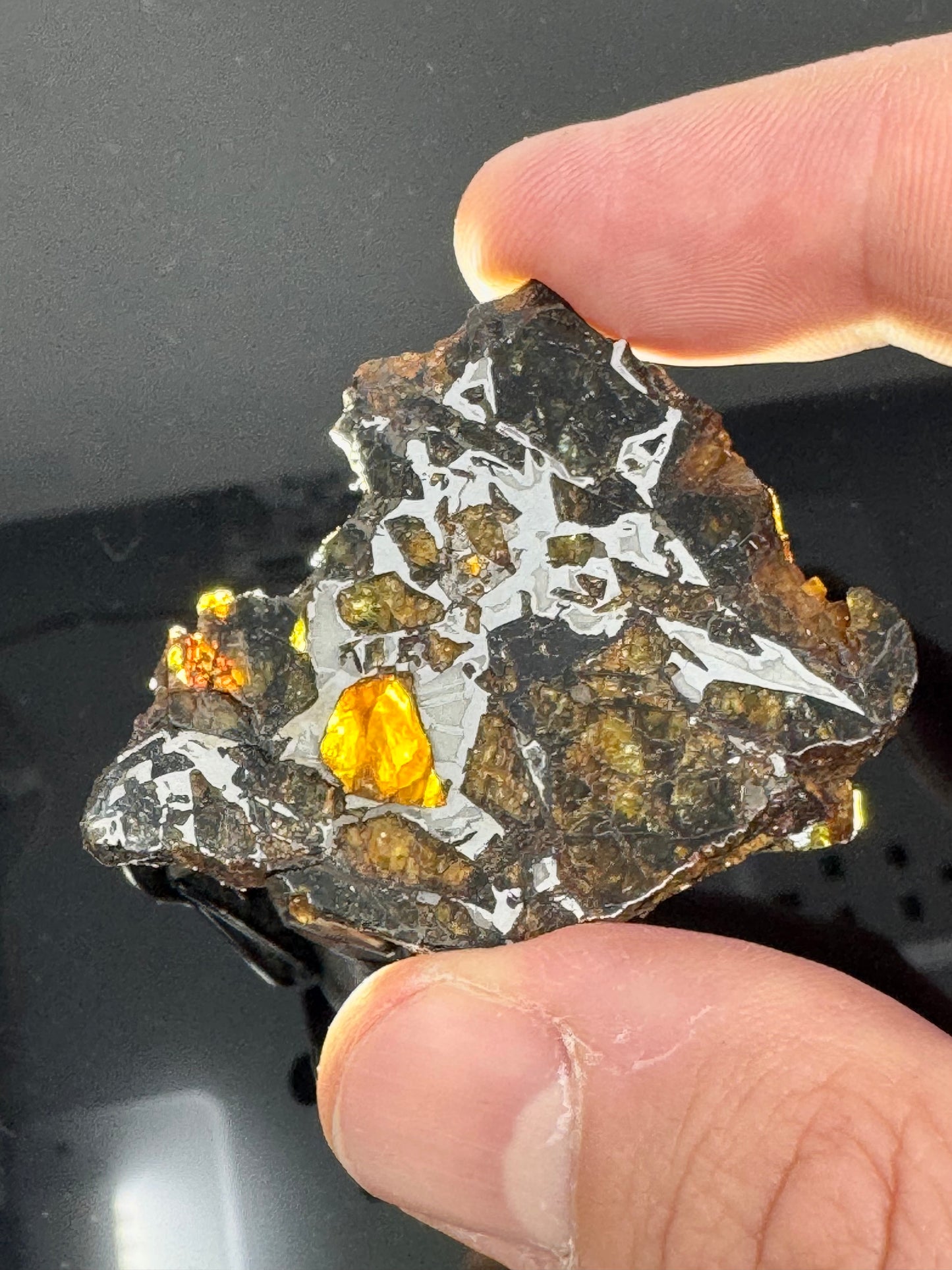 16.0g Admire Pallasite Meteorite - From The Mantle/Core Of An Asteroid - Grade B Translucency