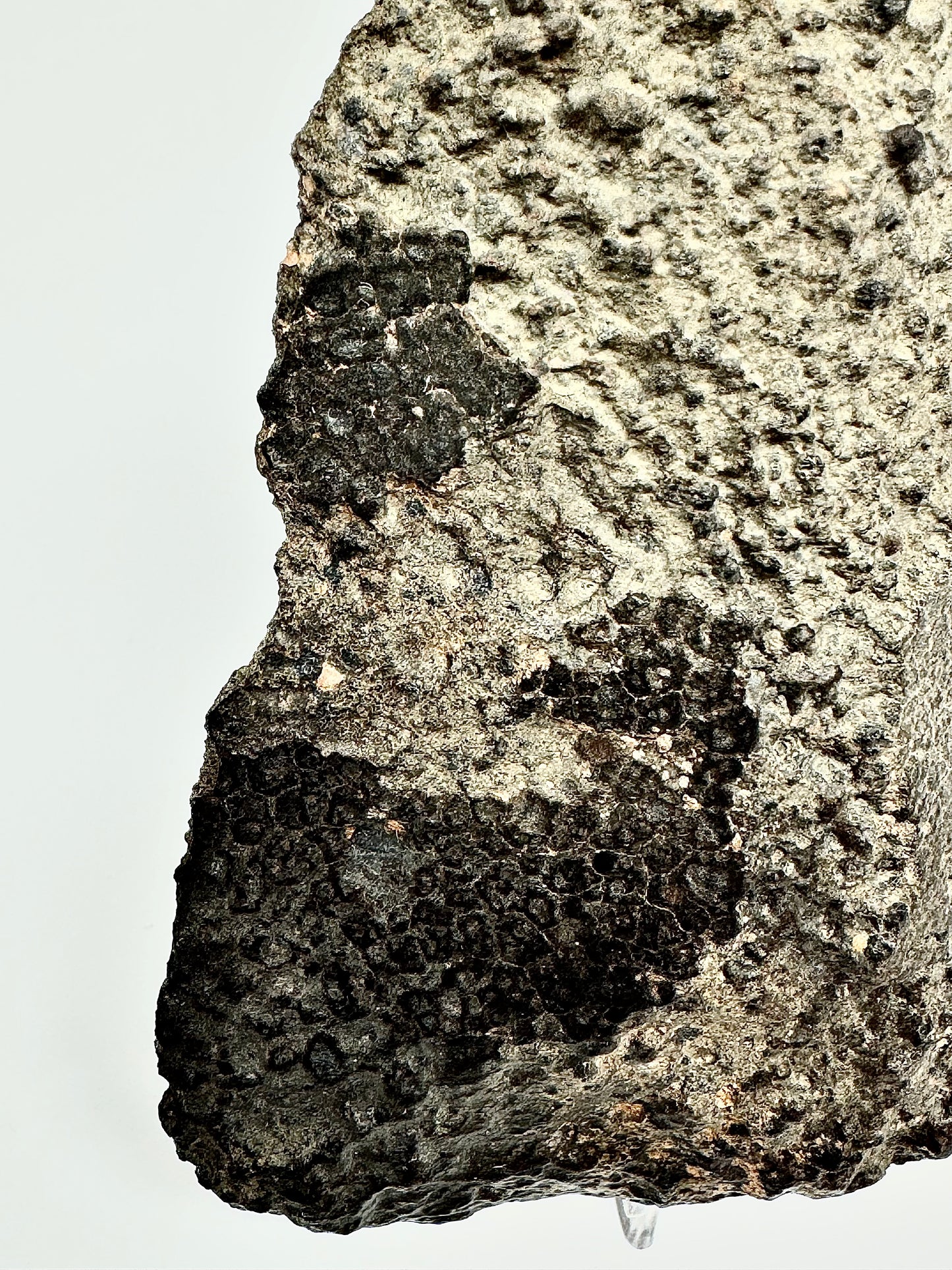 NWA 16314 Carbonaceous Chondrite CK5 Meteorite End Cut w/ Fusion Crust - 281.6g