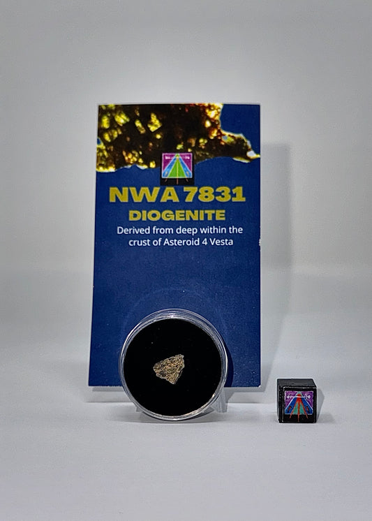 NWA 7831 Diogenite Meteorite - Parent Body: Asteroid (Likely Vesta)