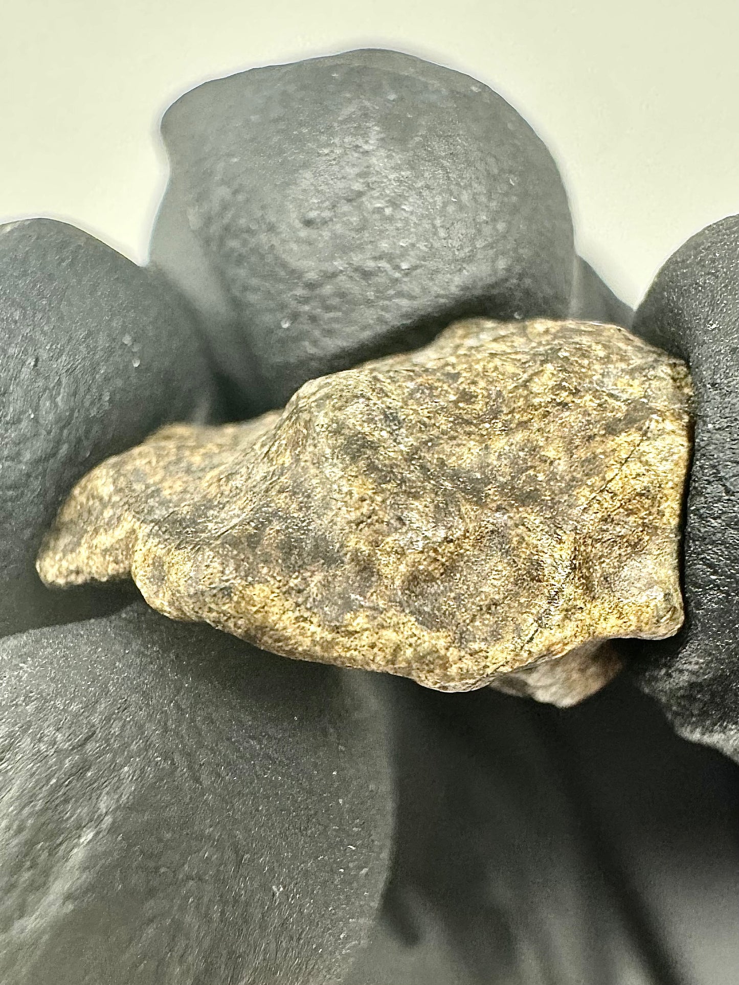 3.6g Genuine Martian Meteorite Amgala 001 - Whole Individual! Scientifically Studied Rock From Planet Mars